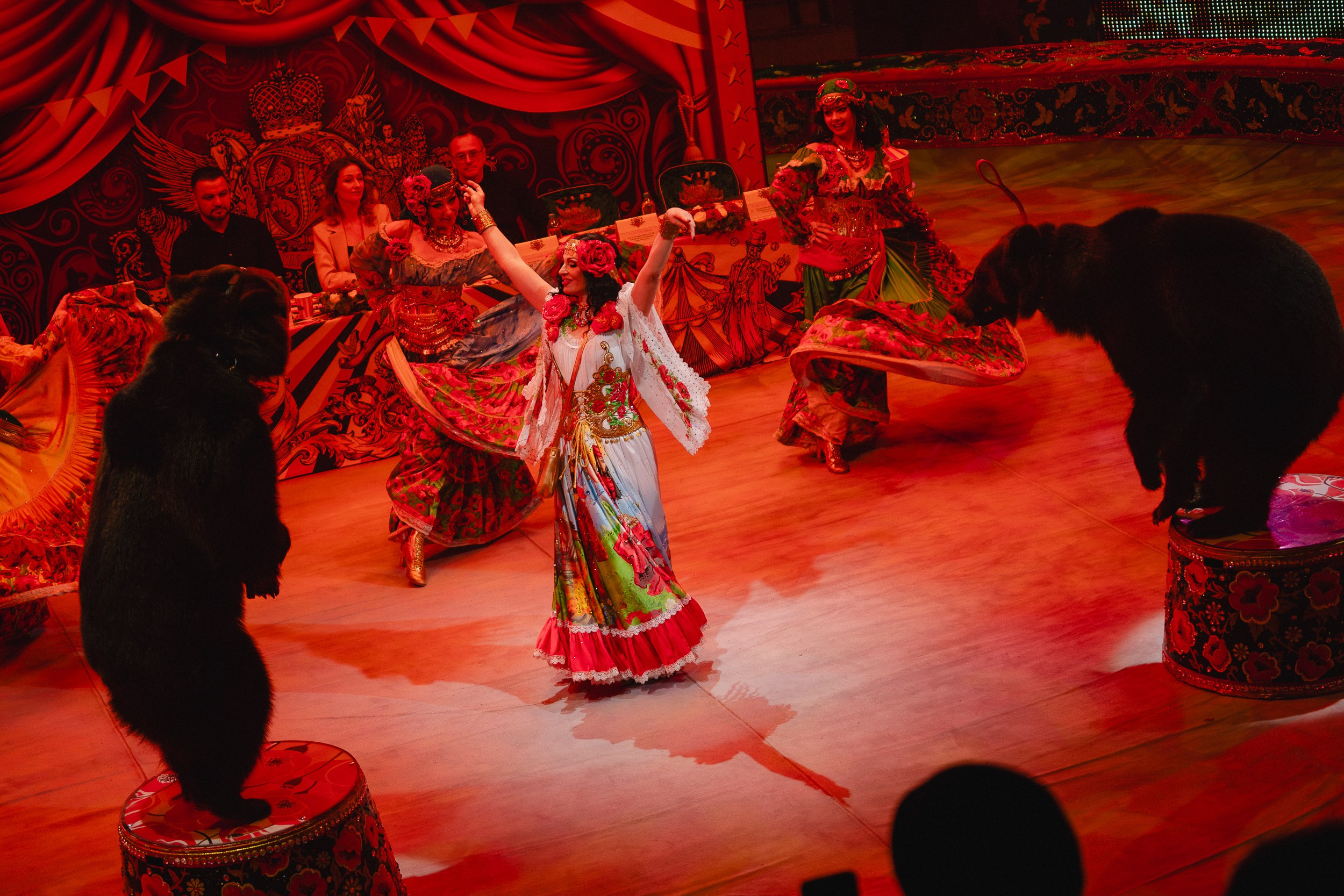 5 Континентов — Пресс-показ в Новосибирском Цирке. Воробьева Ксения — Спортивный и танцевальный фотограф Новосибирск