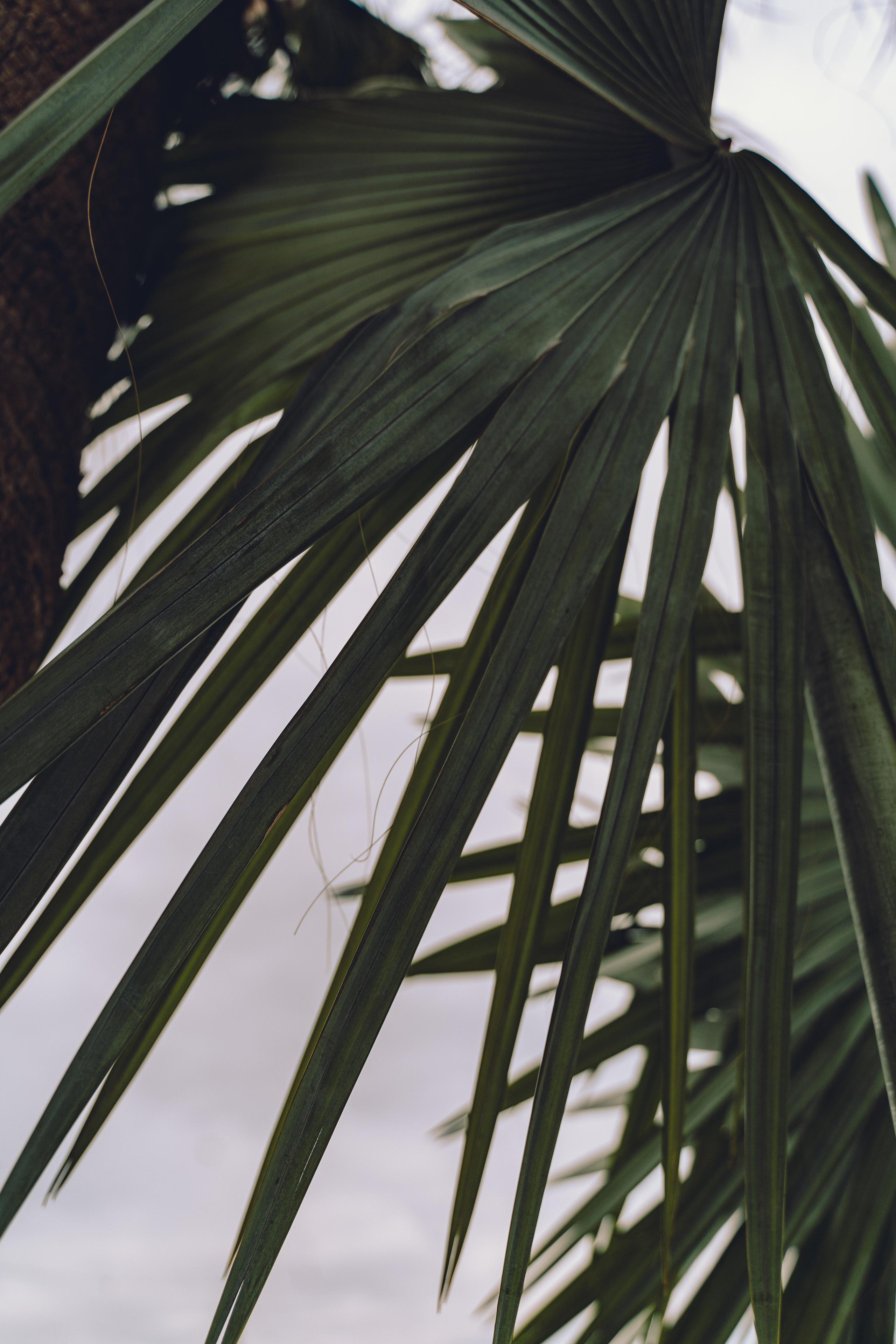 Артем и Алена. Камерная свадьба на Кипре. Свадебный и семейный фотограф Ирина Чернова