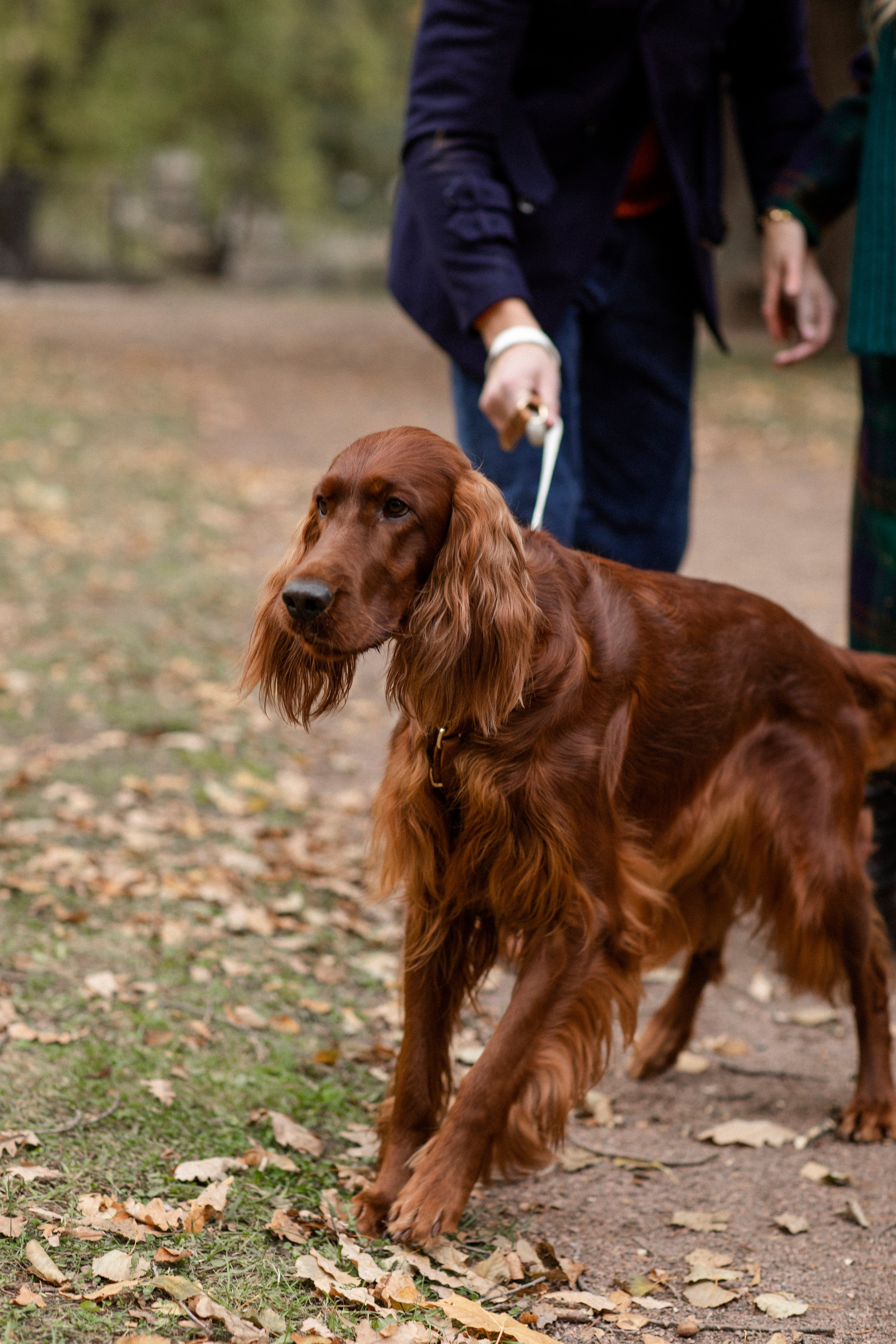 Валерия и Артур. Свадебный и портретный фотограф