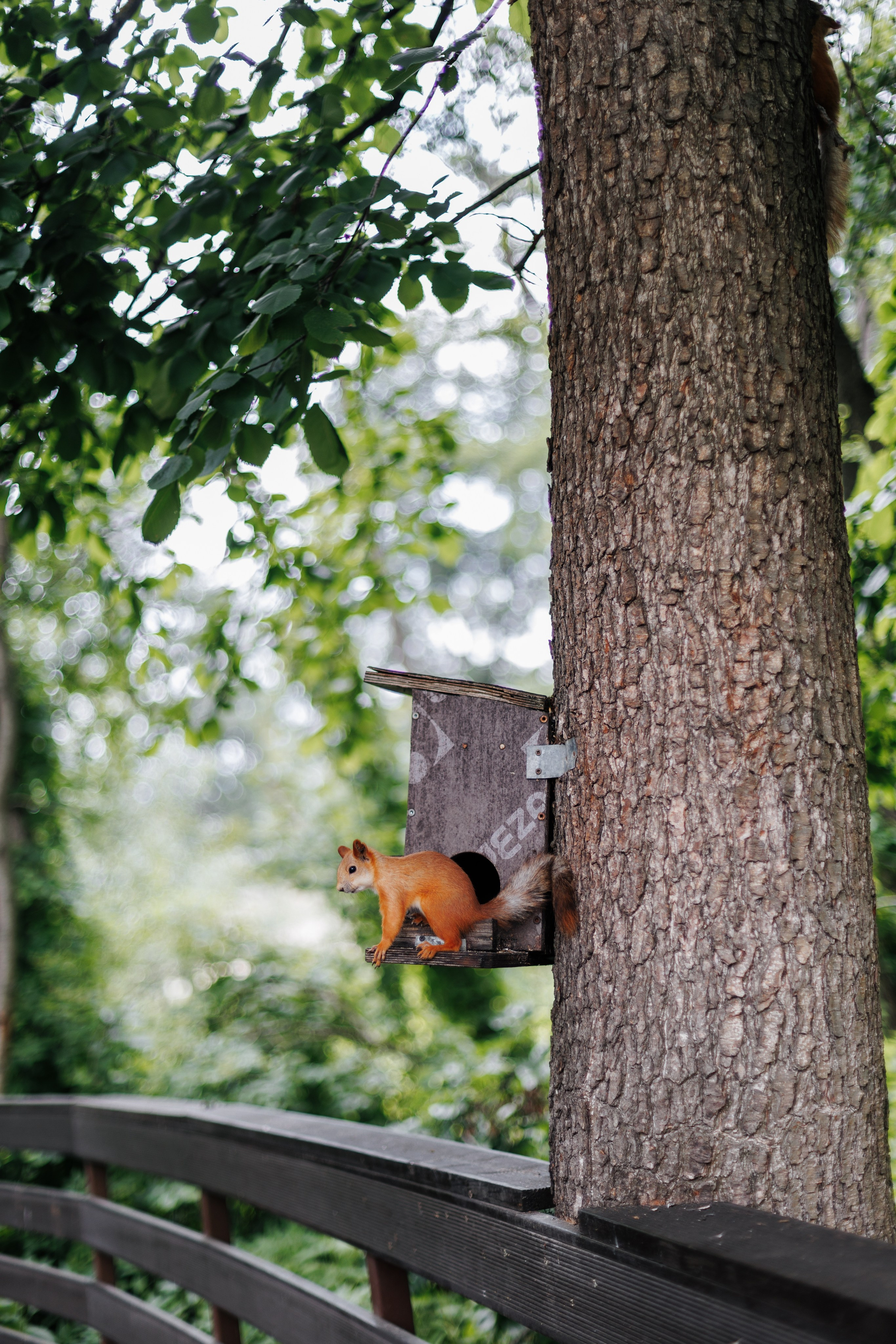 Владислав ♥ Соня. Свадебный и семейный фотограф в городе Воронеж. Ирина Боловина