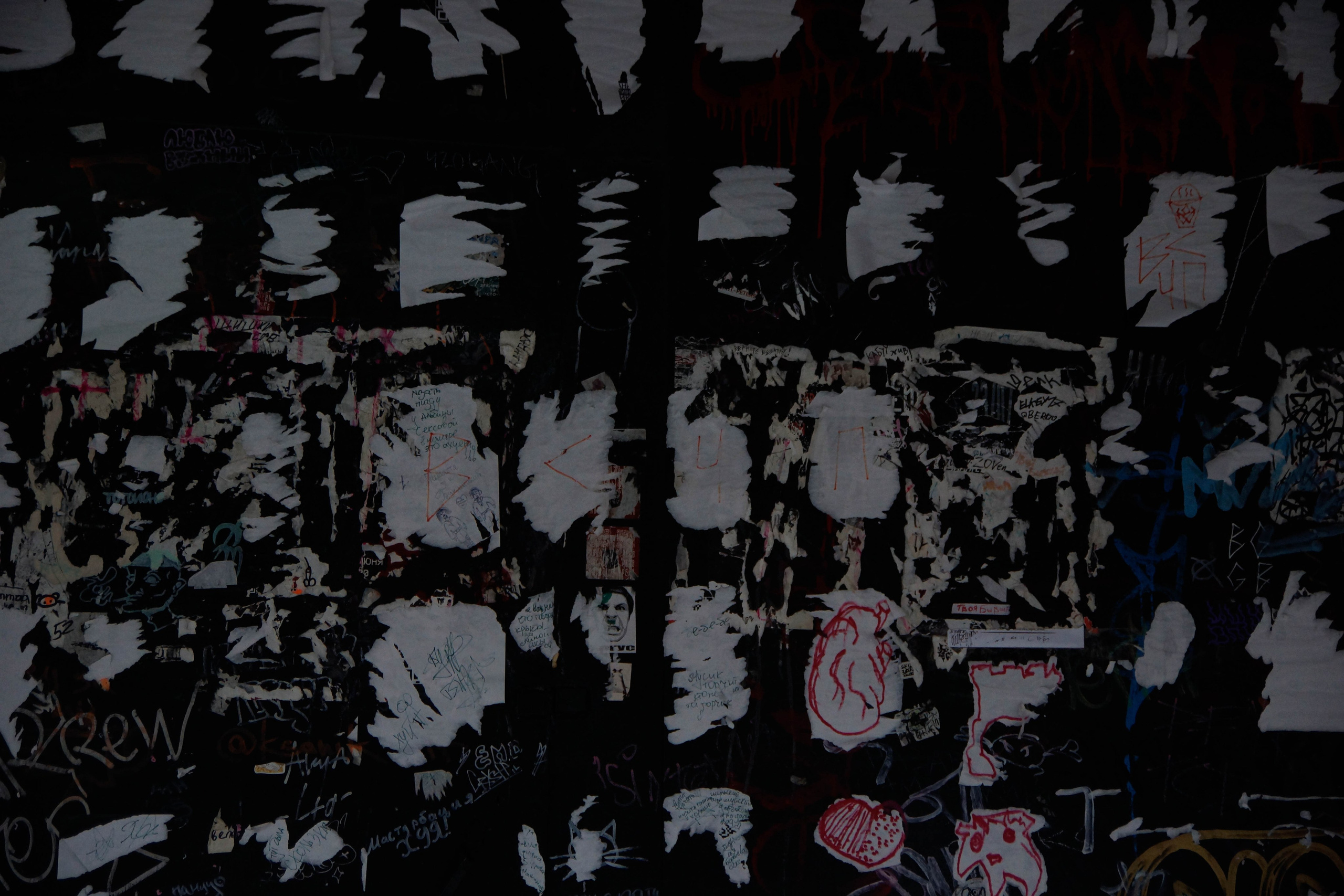 Максим Бруно Аркадович. Потешная фотопленка