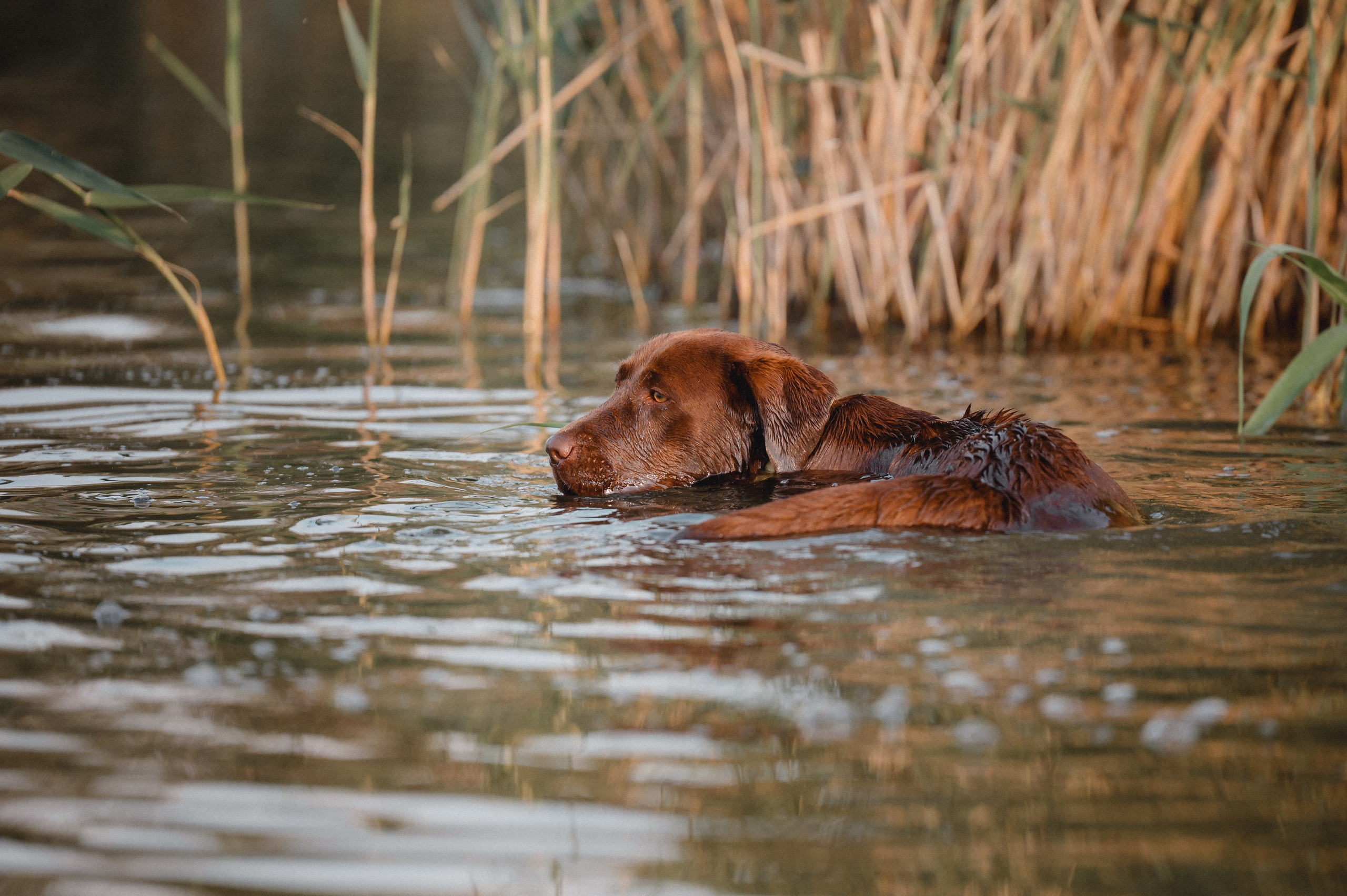 Анечка и Дэя. Фотограф в Ростове —на — Дону