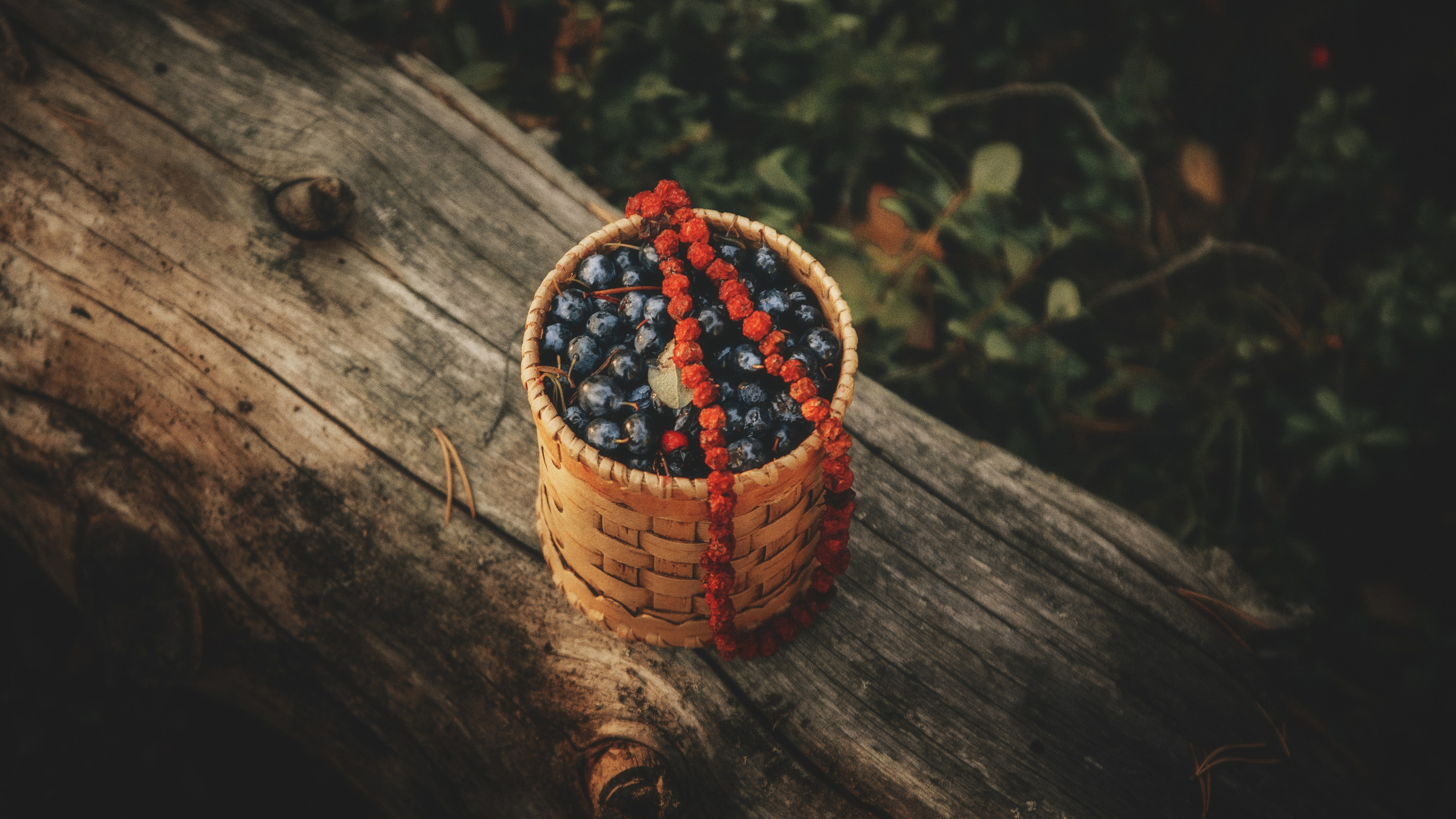 Ау. Фотограф — путешественник Светлана Романовская