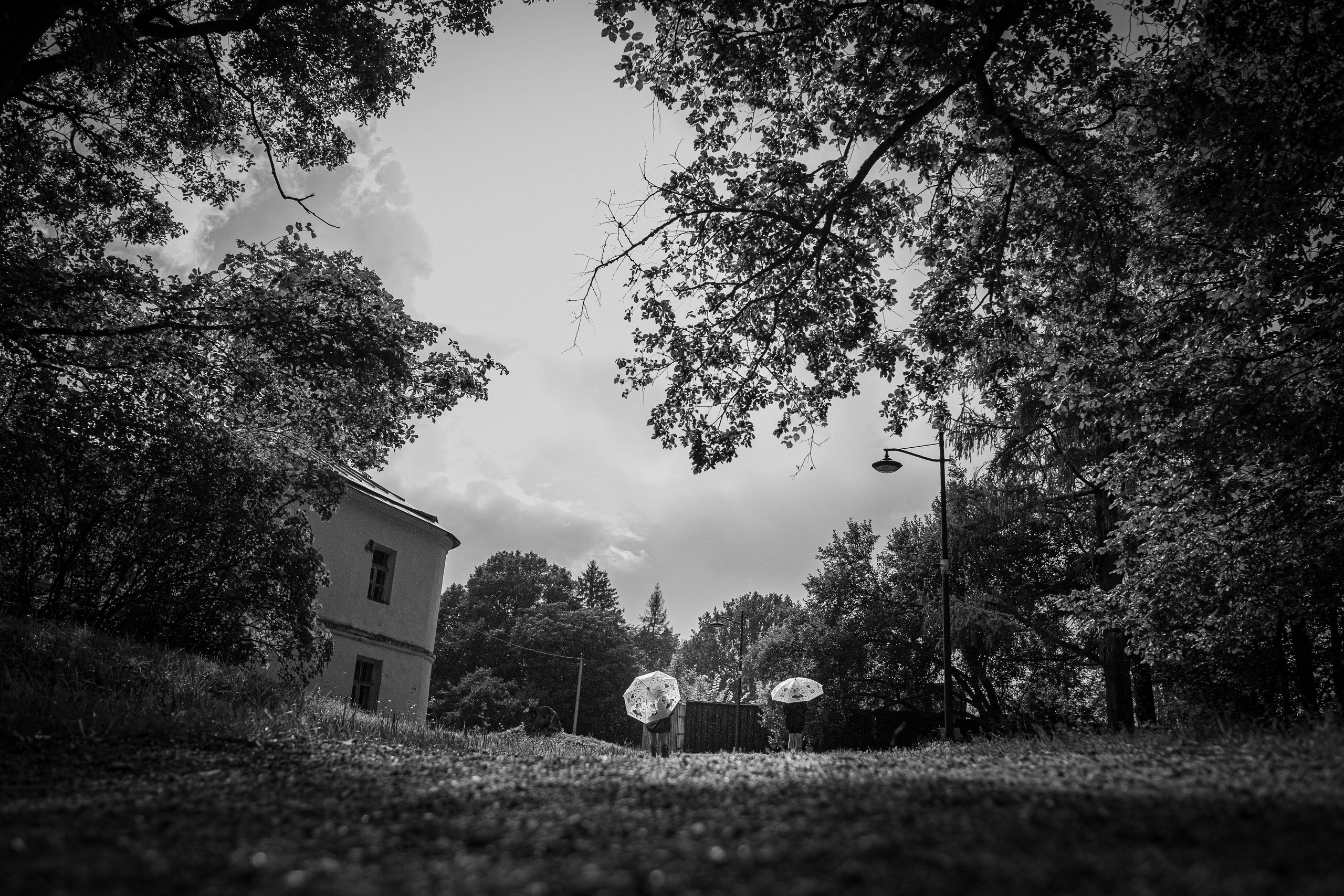 Черно-белое. Семейный и детский фотограф в Москве и на Бали Светлана Матюнина