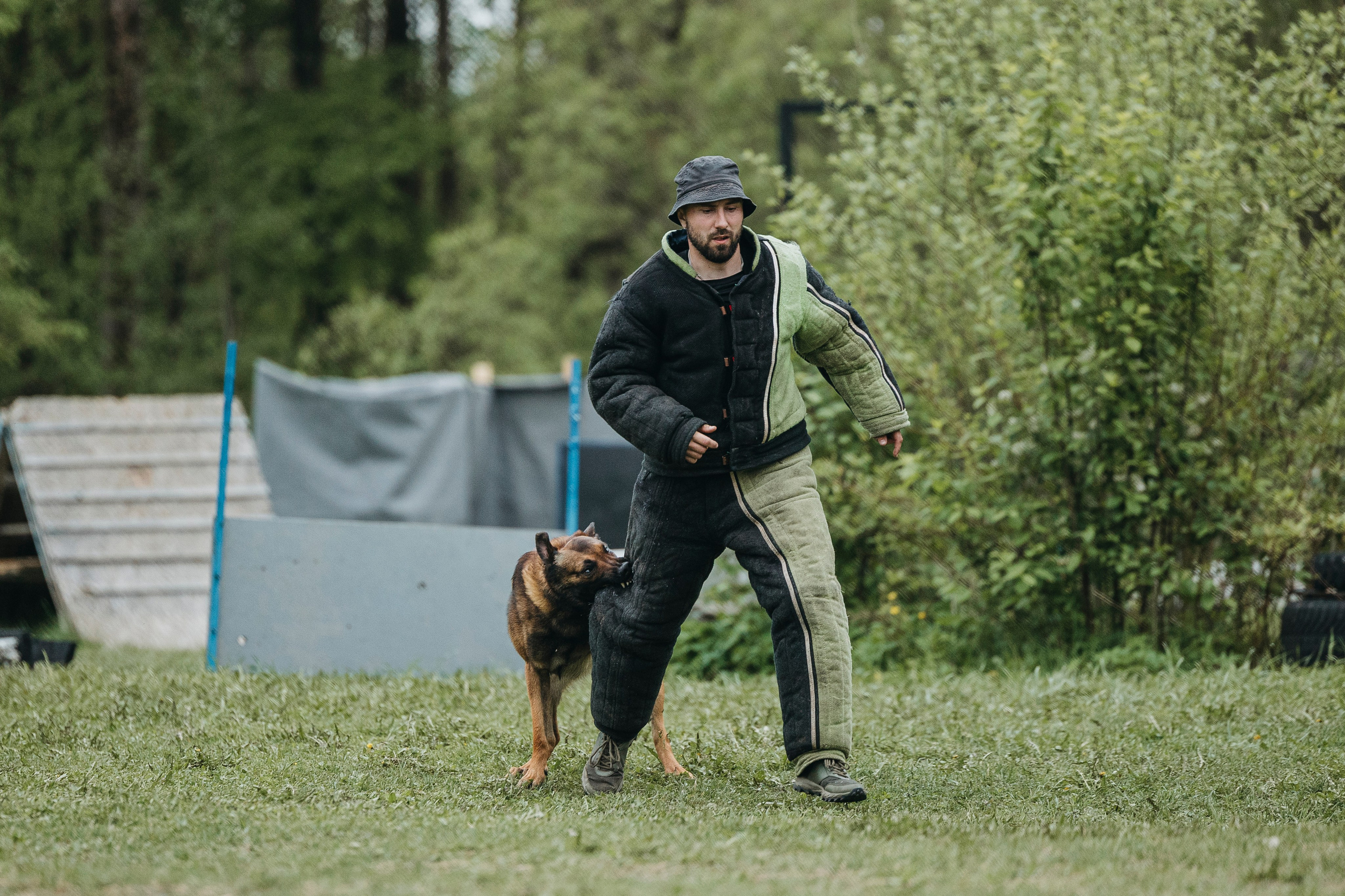 26.05.25 г. Пушкин квалификационные соревнования. Фотограф-анималист Анна Маринич