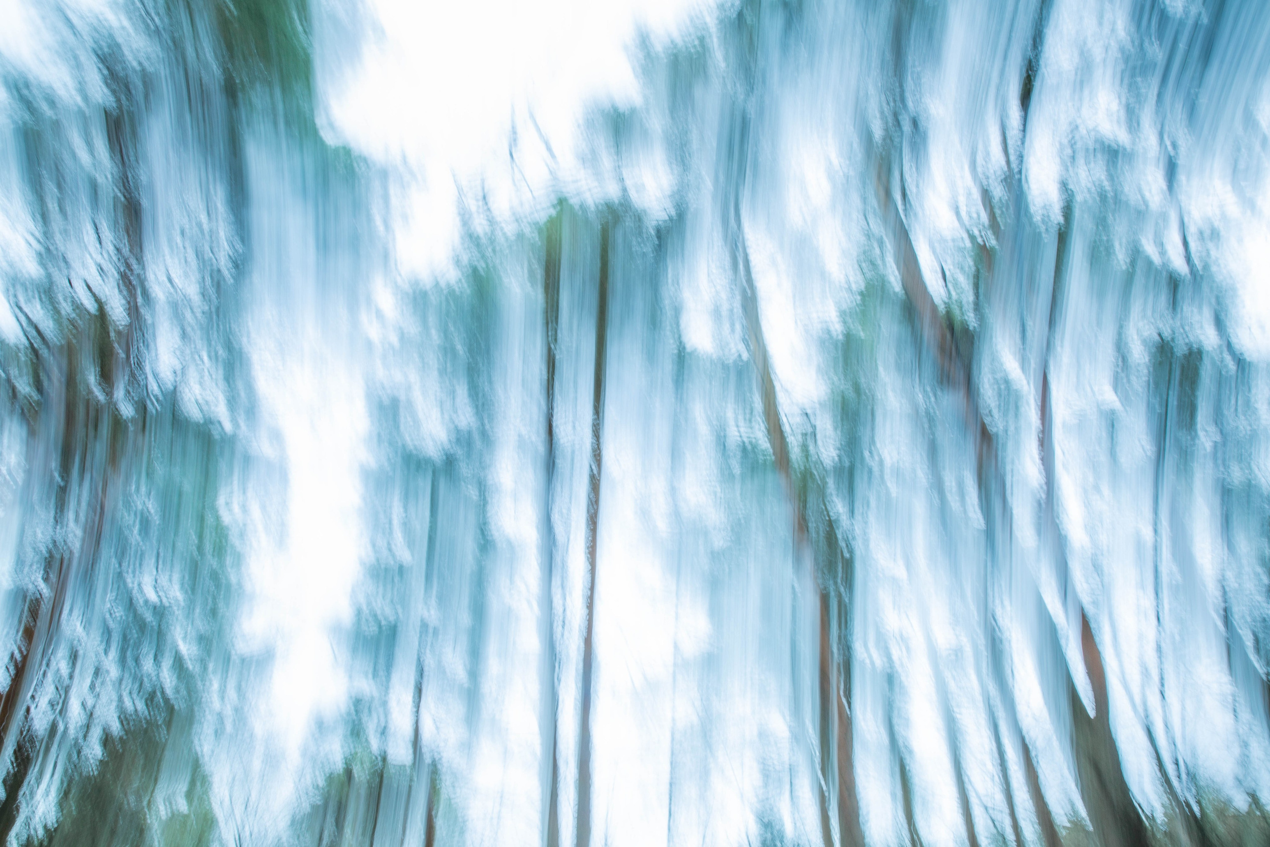 ИГГДРАСИЛЬ, 2025-2026. АННА ВЕРСО / ANNA VERSO | Визуальный художник / Visual artist