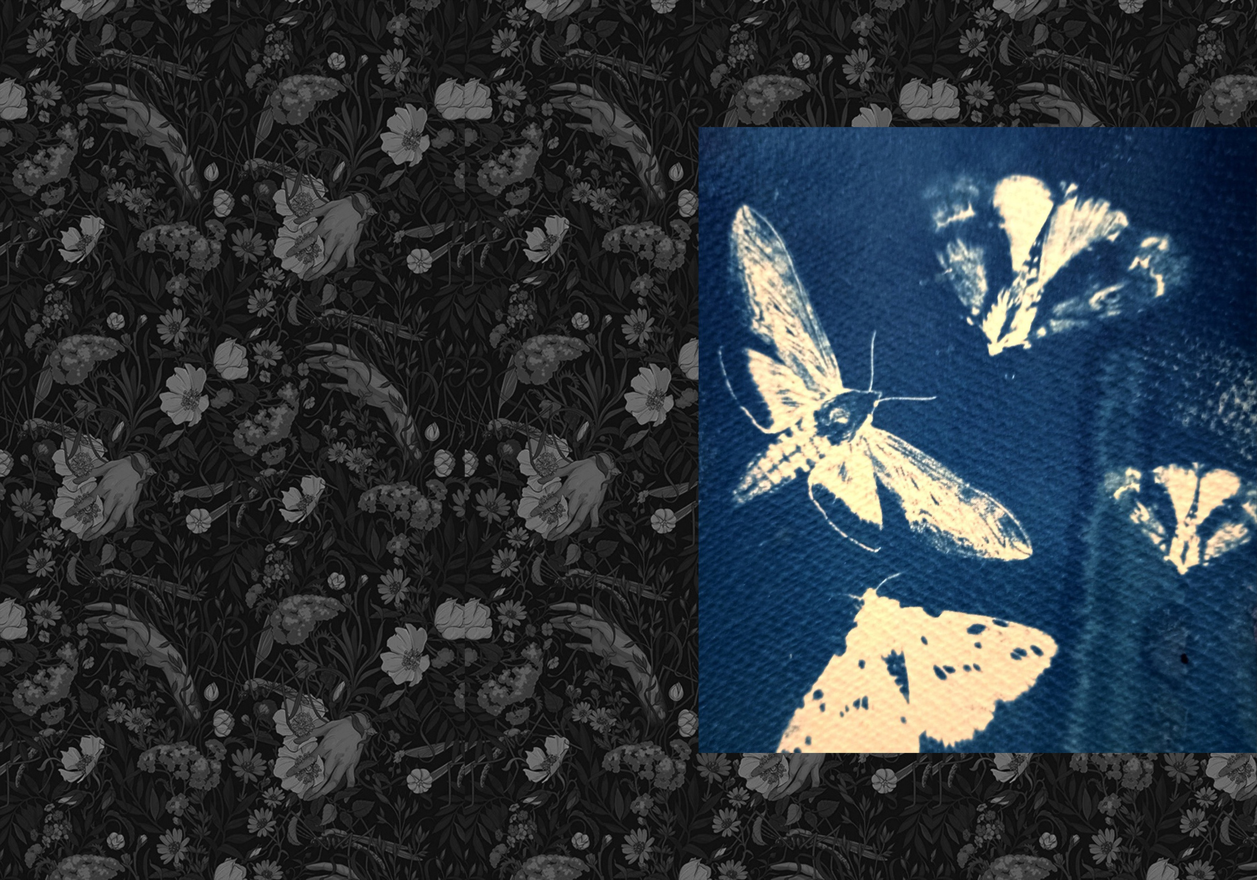 Ира Бринкус | Лес. Private image