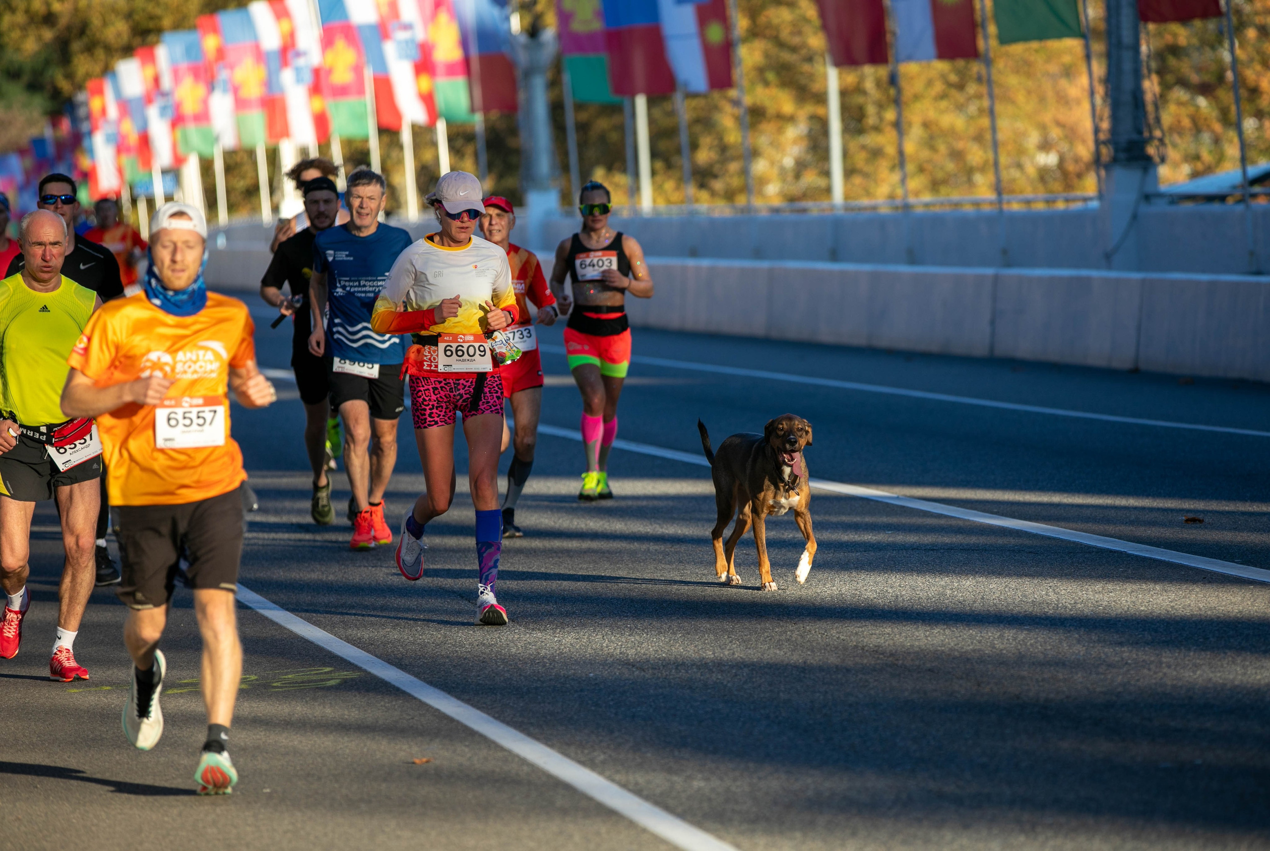 Сочи Марафон по бегу — 2025.11.03. Фотограф из Сочи Регина Труфанова