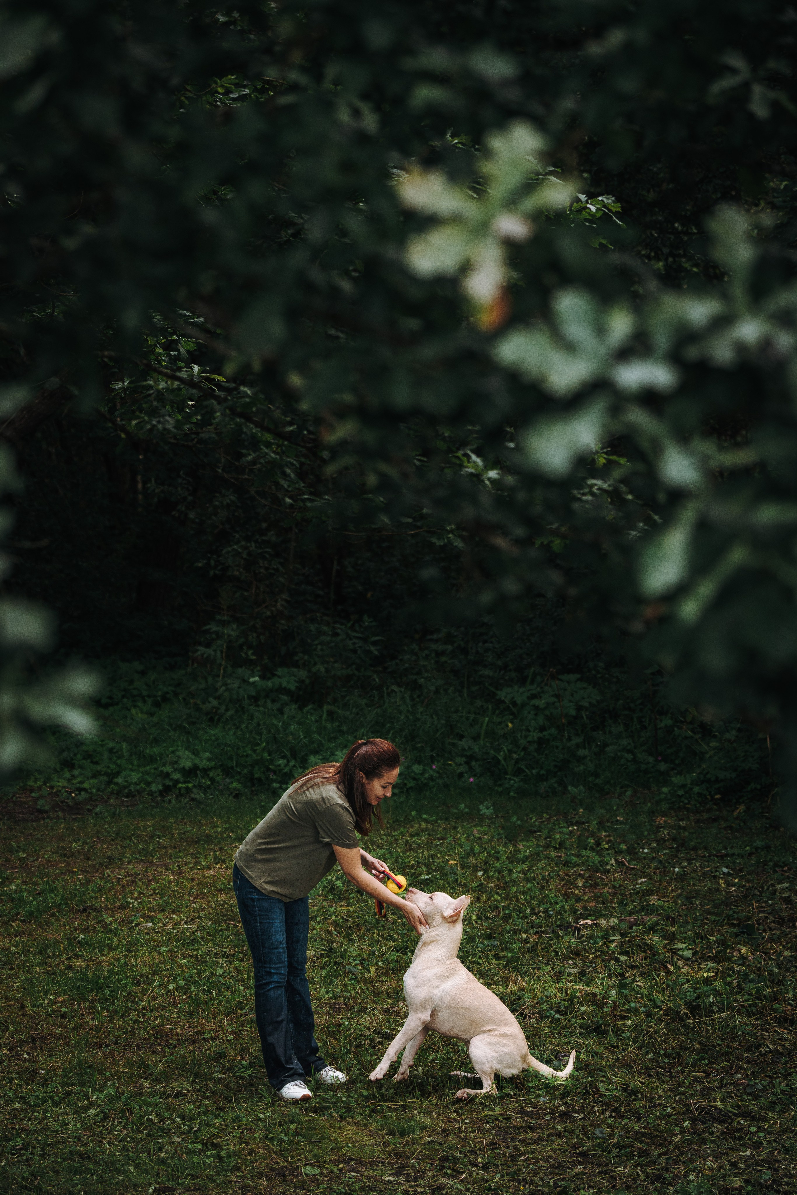Оля и Гламур. Фотограф анималист в Спб недорого Олеся Майорова