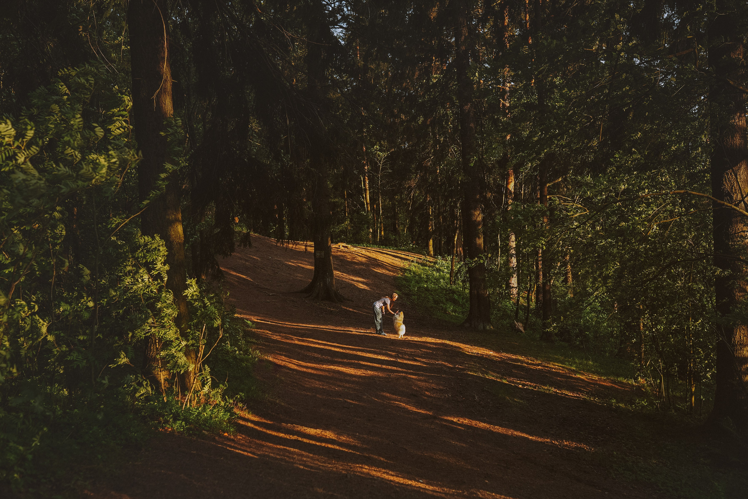 Фотосессия с собачкой в лесу. Фотограф анималист в Спб недорого Олеся Майорова