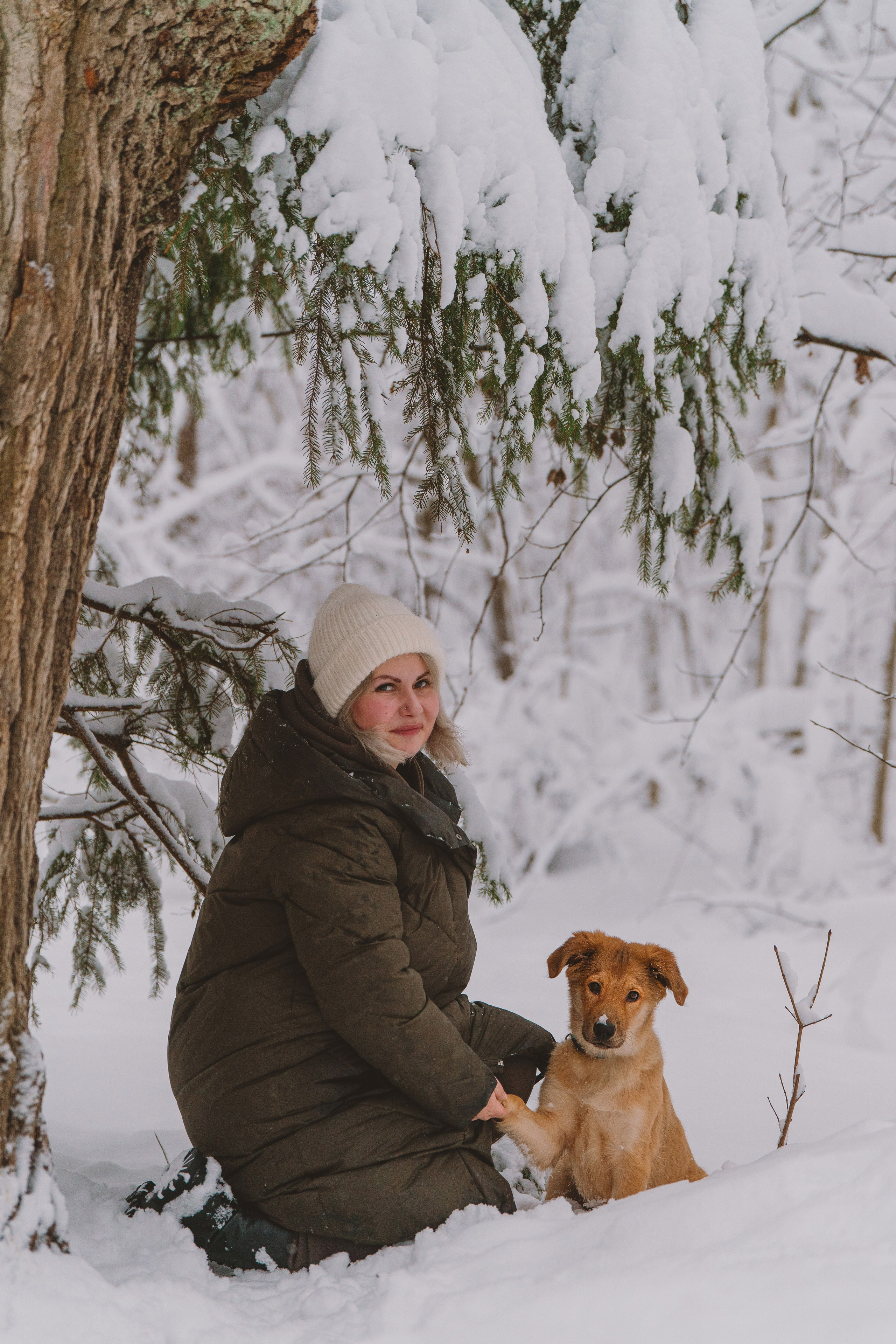 Фотосессия с питомцами на природе. Фотограф анималист в Спб недорого Олеся Майорова