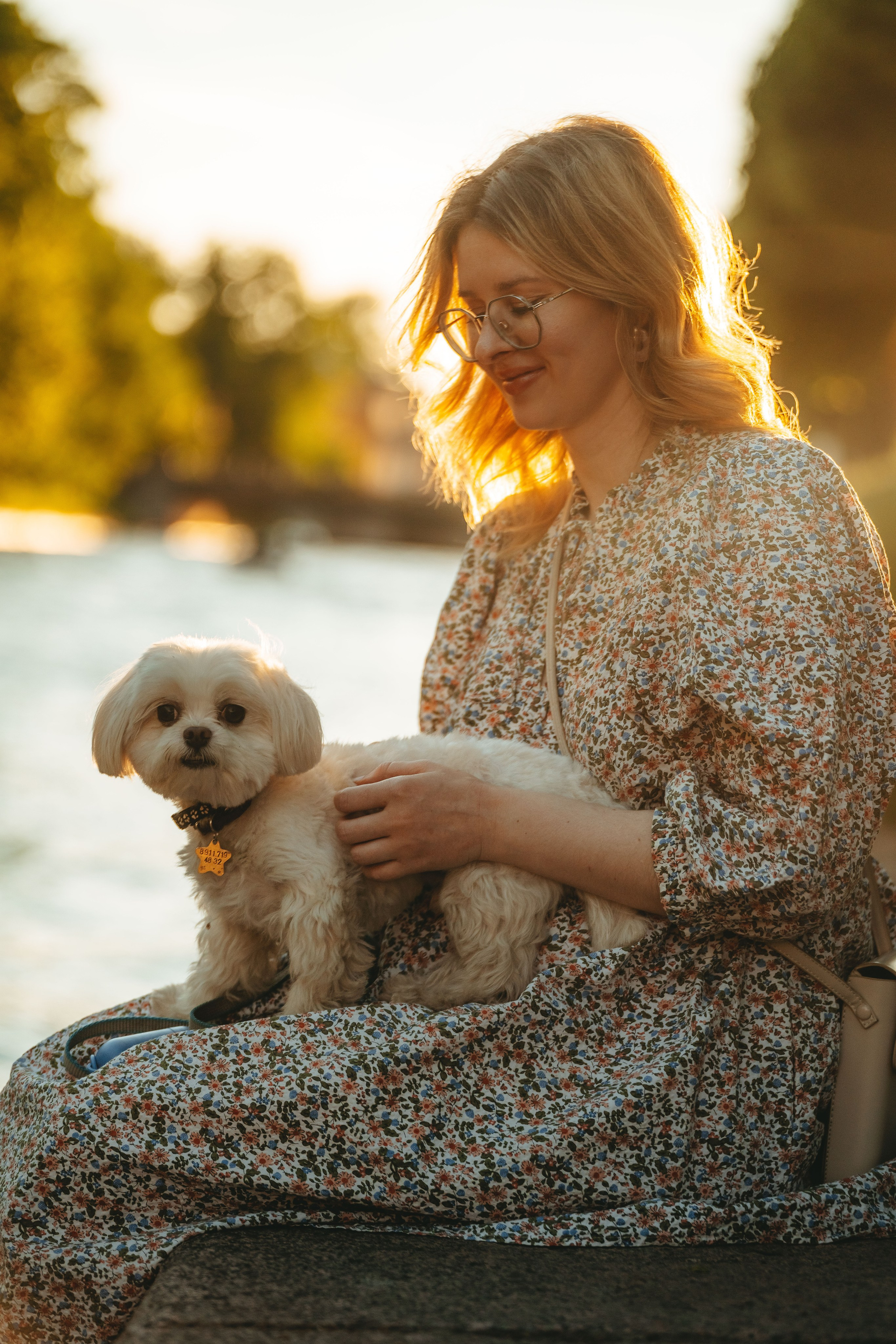 Фотосессия с питомцем в центре Санкт-Петербурга. Фотограф анималист в Спб недорого Олеся Майорова