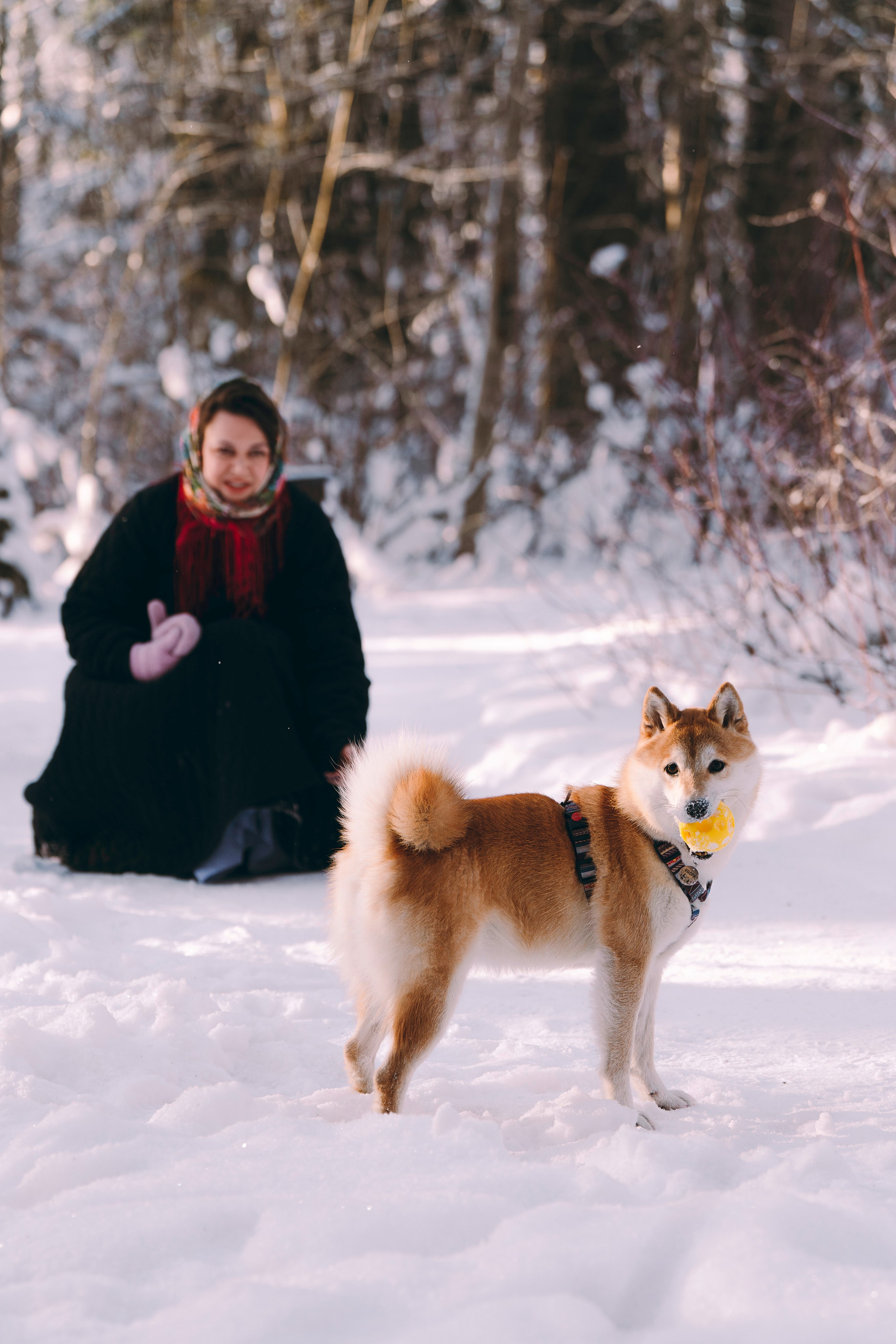 Каори, Анна и Антон. Фотограф анималист в Спб недорого Олеся Майорова