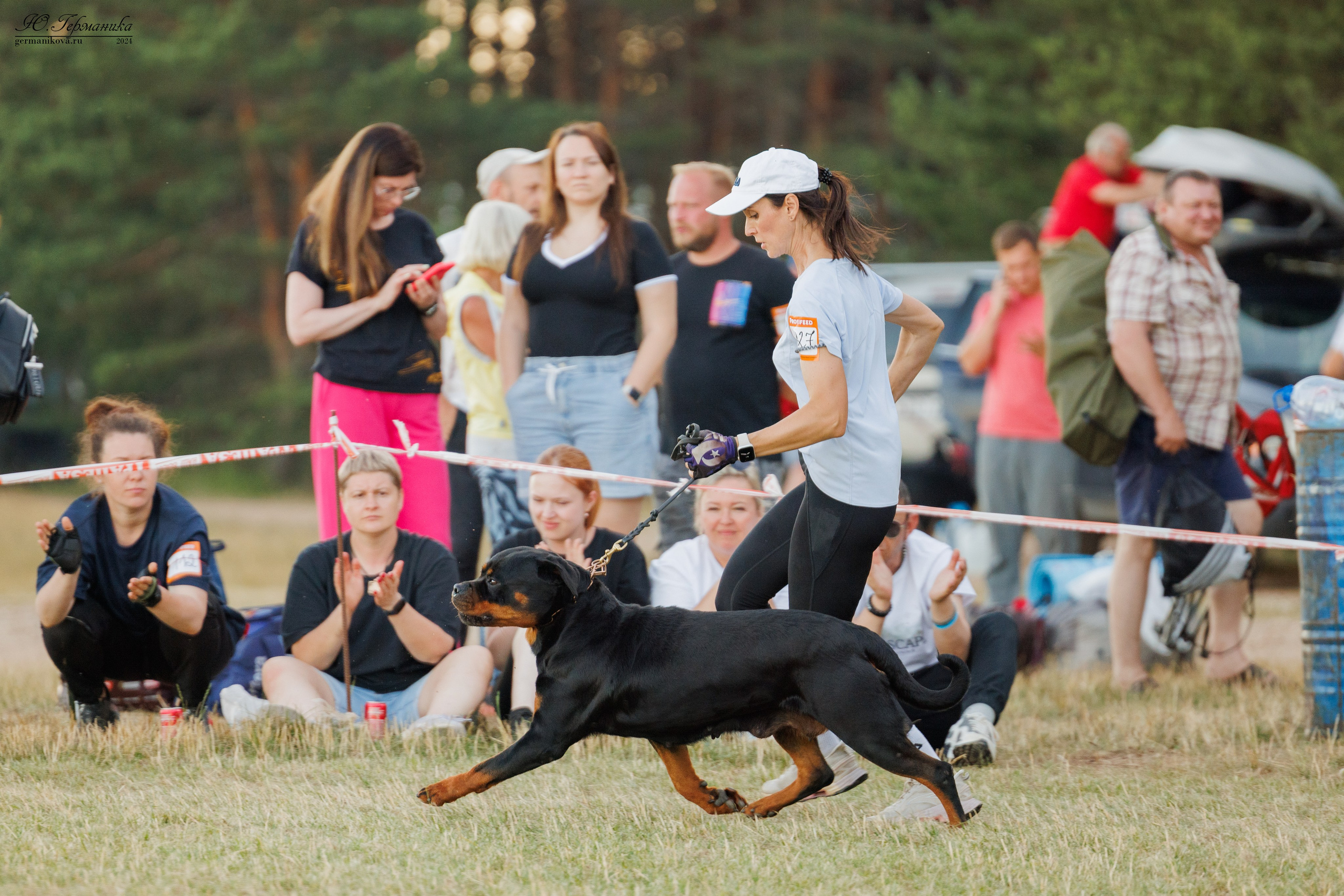 ПК и КЧК ротвейлеры Тверь 6-7.07.2024. Фотограф-анималист Юлия Германика