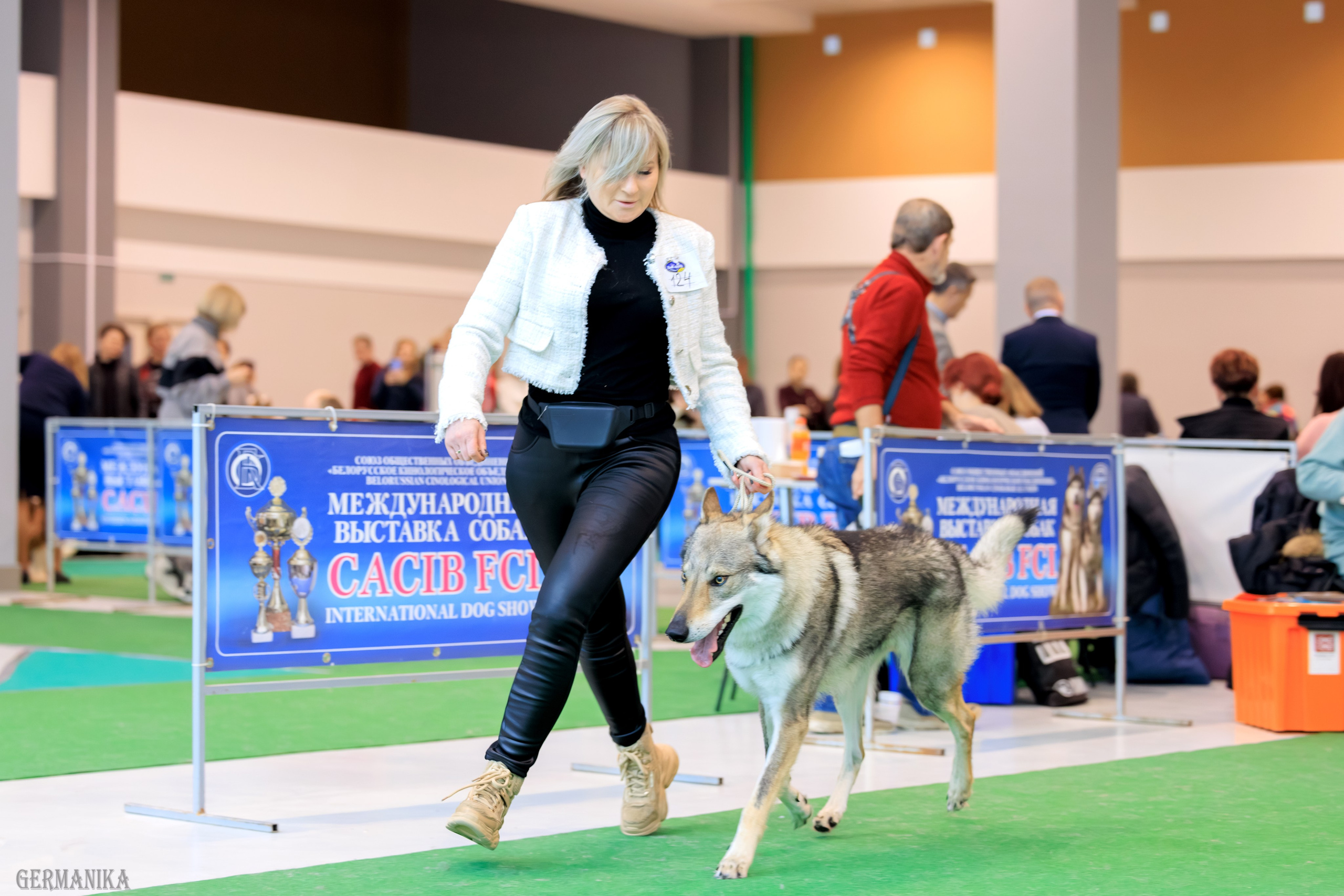 Минск 24-25.02.2024. Фотограф-анималист Юлия Германика