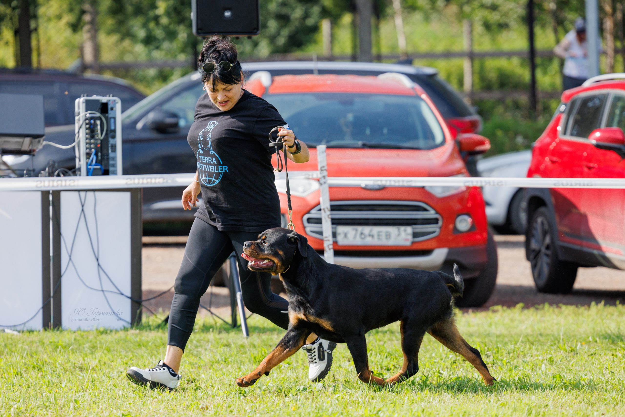 Нижний Новгород ротвейлеры 25.08.2024. Фотограф-анималист Юлия Германика