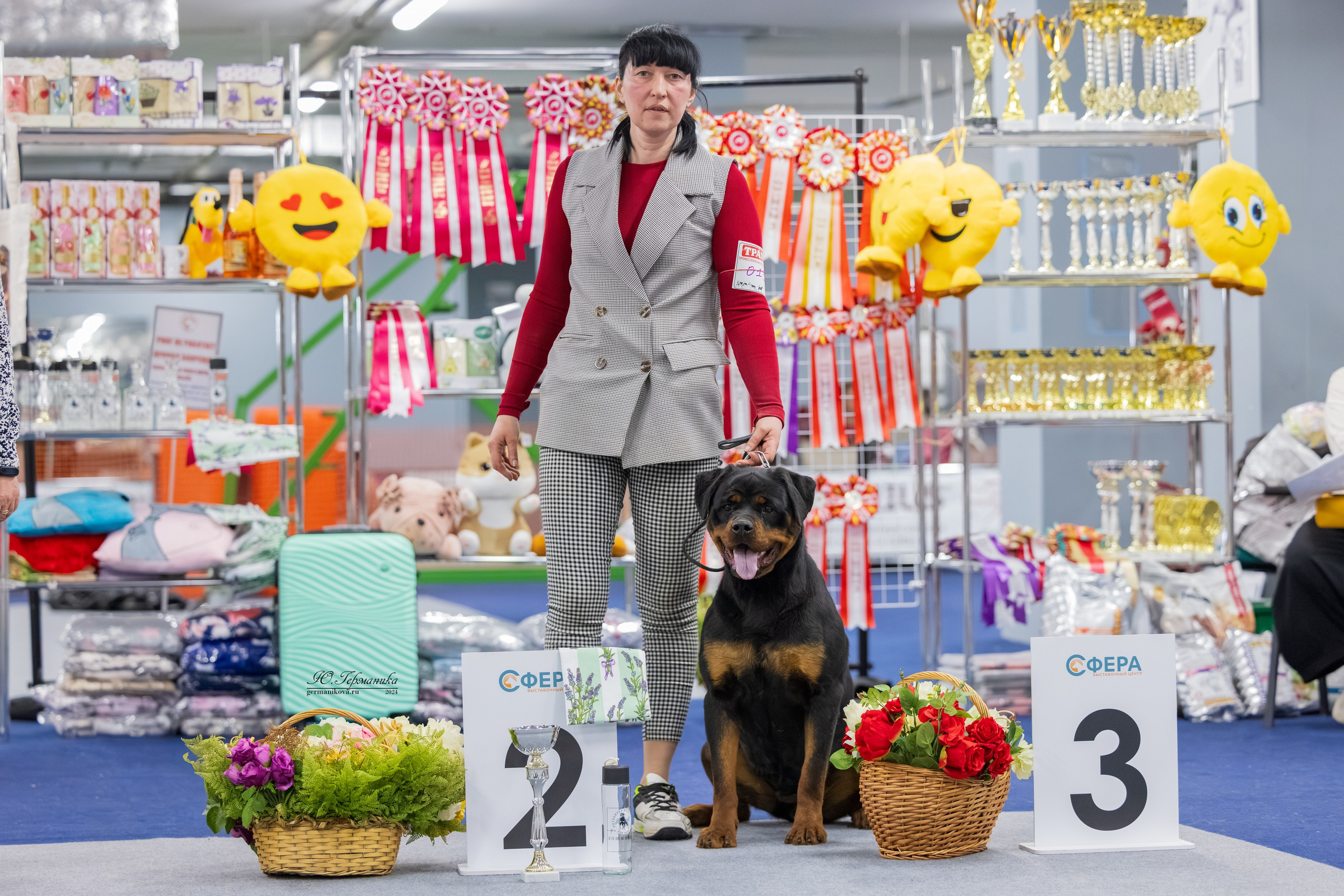 Сфера 08 и 10.03.2024 2хмоно ротвейлеров+2хмоно сао. Фотограф-анималист Юлия Германика