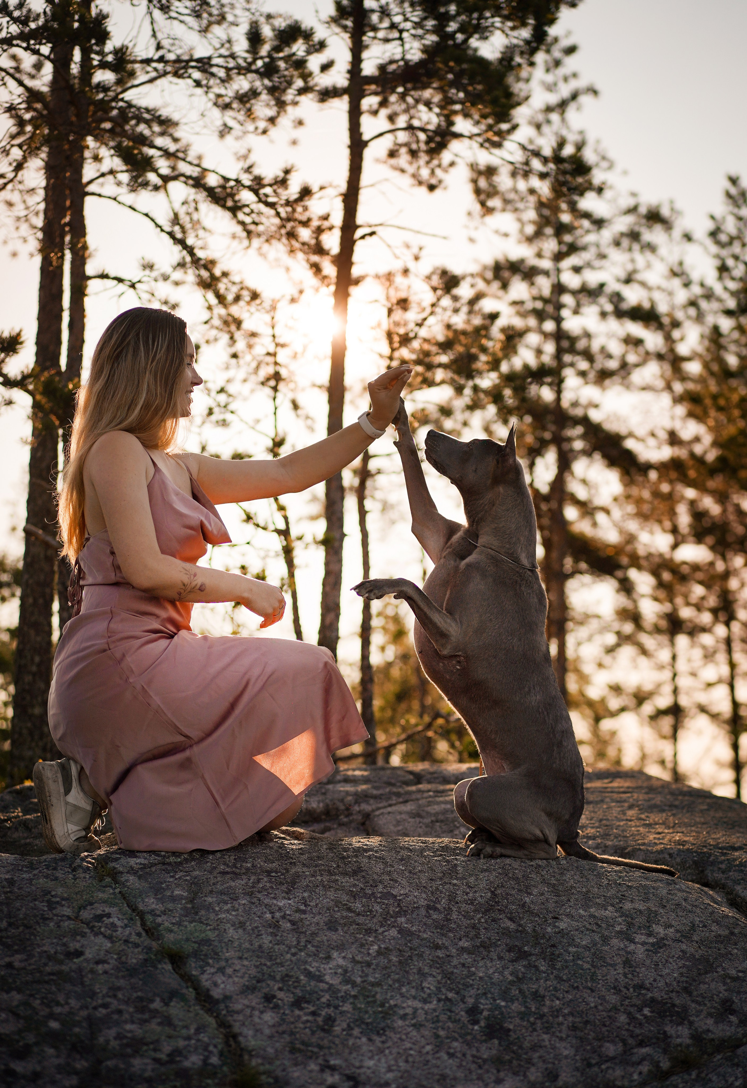 Даша Фифа Гага и Вениамина. Фотограф-анималист в Санкт-Петербурге Яна Мартынова
