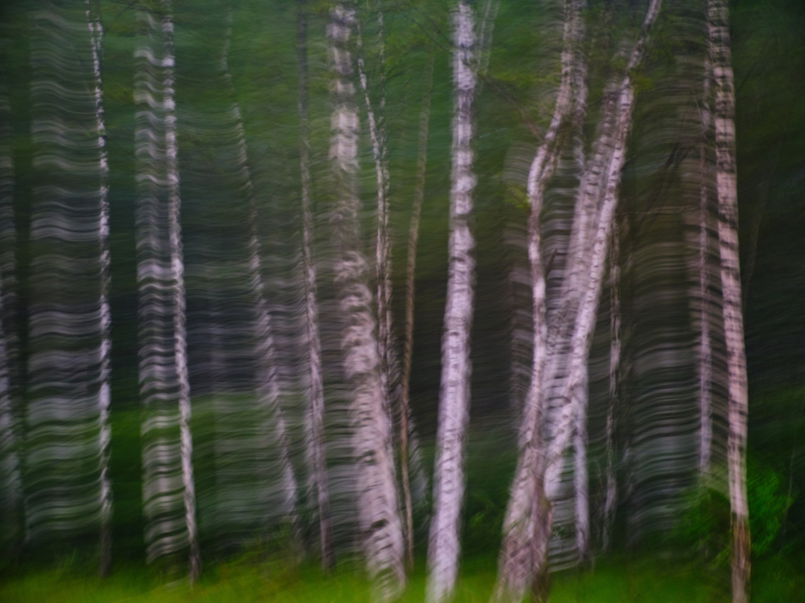 Фотограф Юлия Глазкова