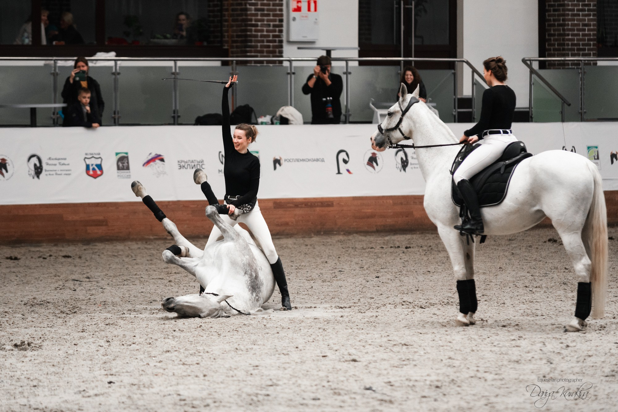 8-я международная выставка Конная Россия. Конный фотограф Куракина Дарья • Фотосессии с лошадьми