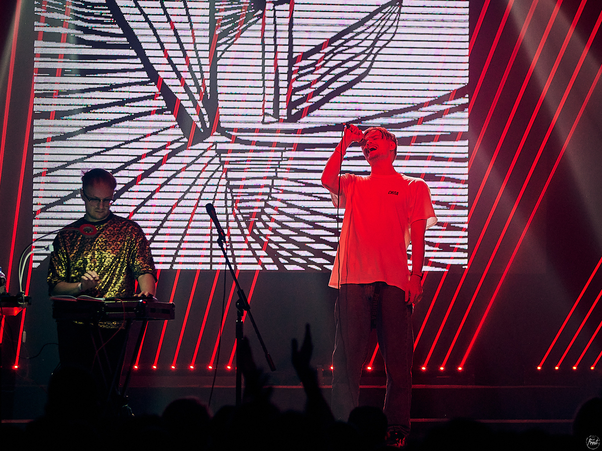 Электрофорез. Фотографии отовсюду и обо всем