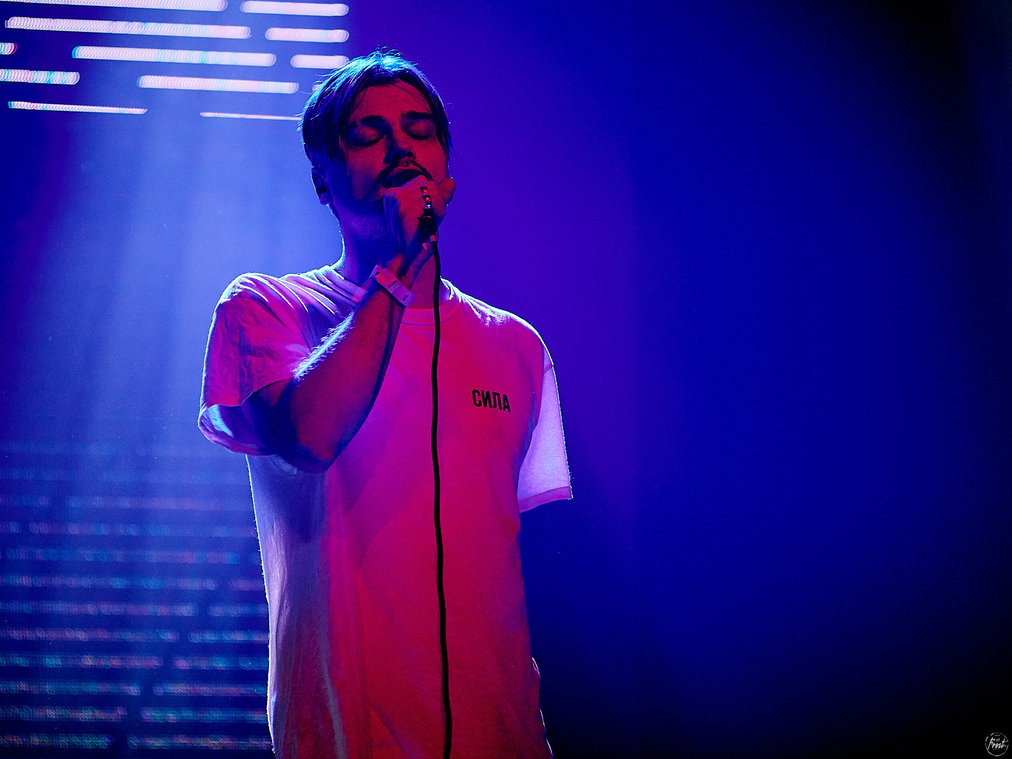 Электрофорез. Фотографии отовсюду и обо всем