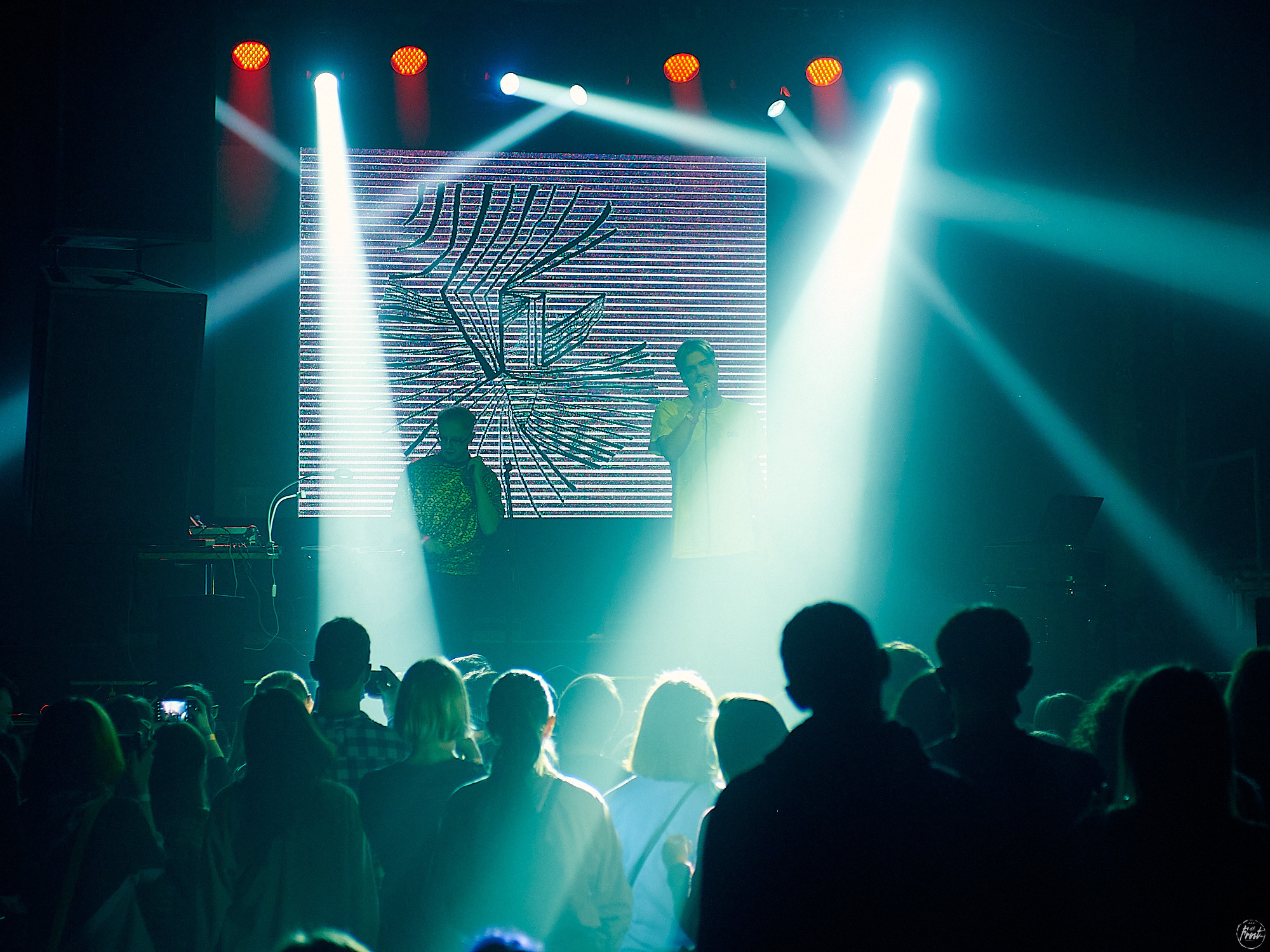 Электрофорез. Фотографии отовсюду и обо всем