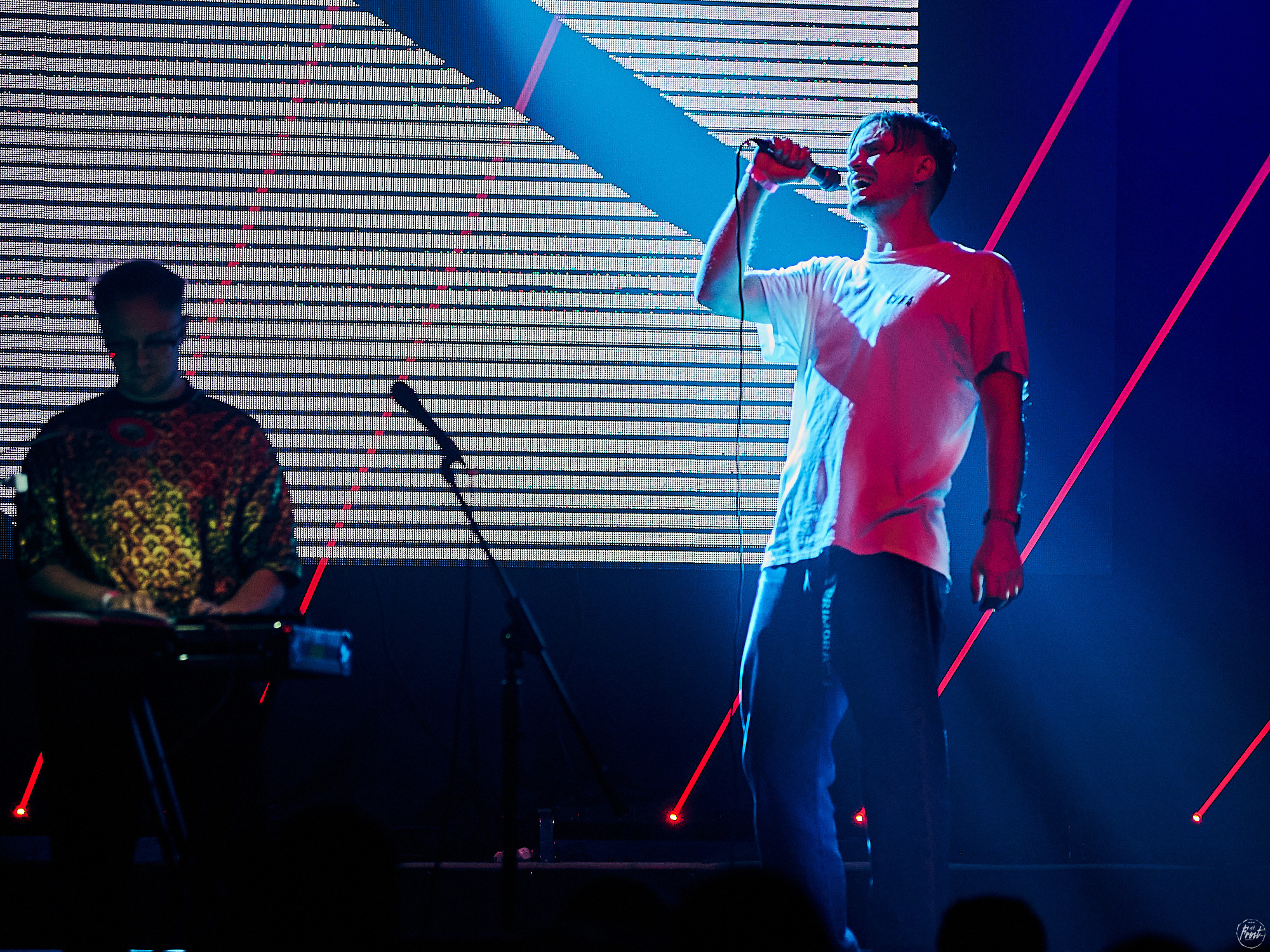 Электрофорез. Фотографии отовсюду и обо всем