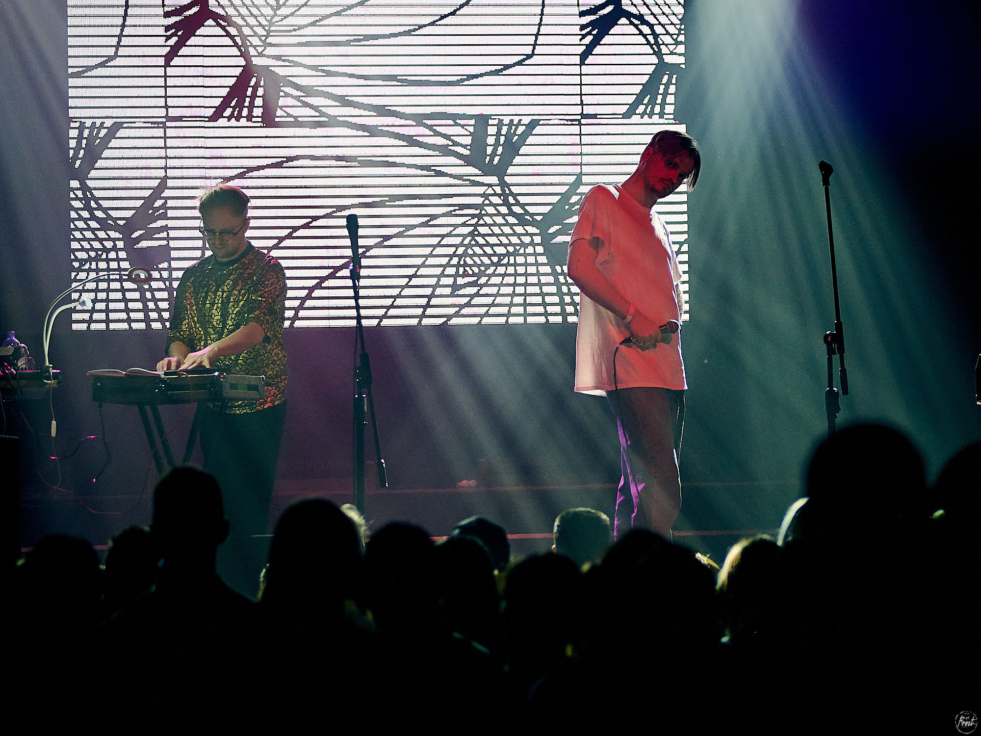 Электрофорез. Фотографии отовсюду и обо всем