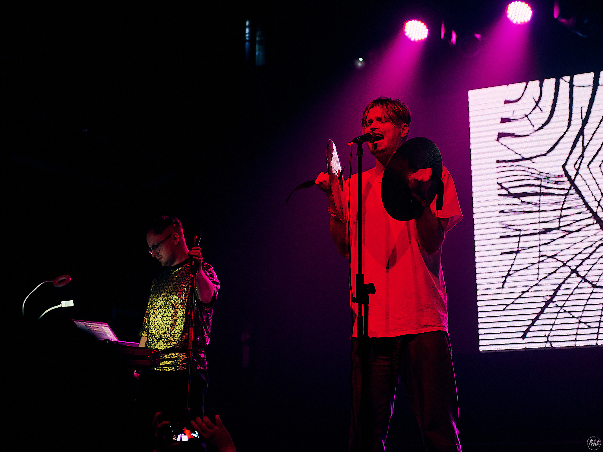 Электрофорез. Фотографии отовсюду и обо всем