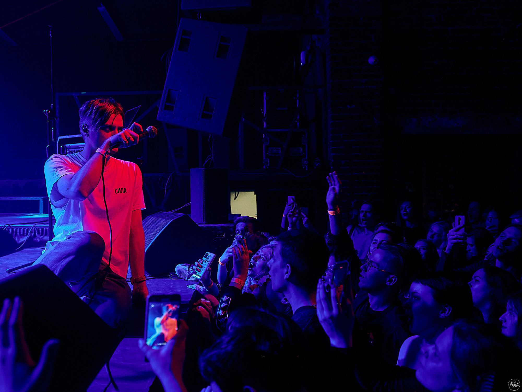 Электрофорез. Фотографии отовсюду и обо всем