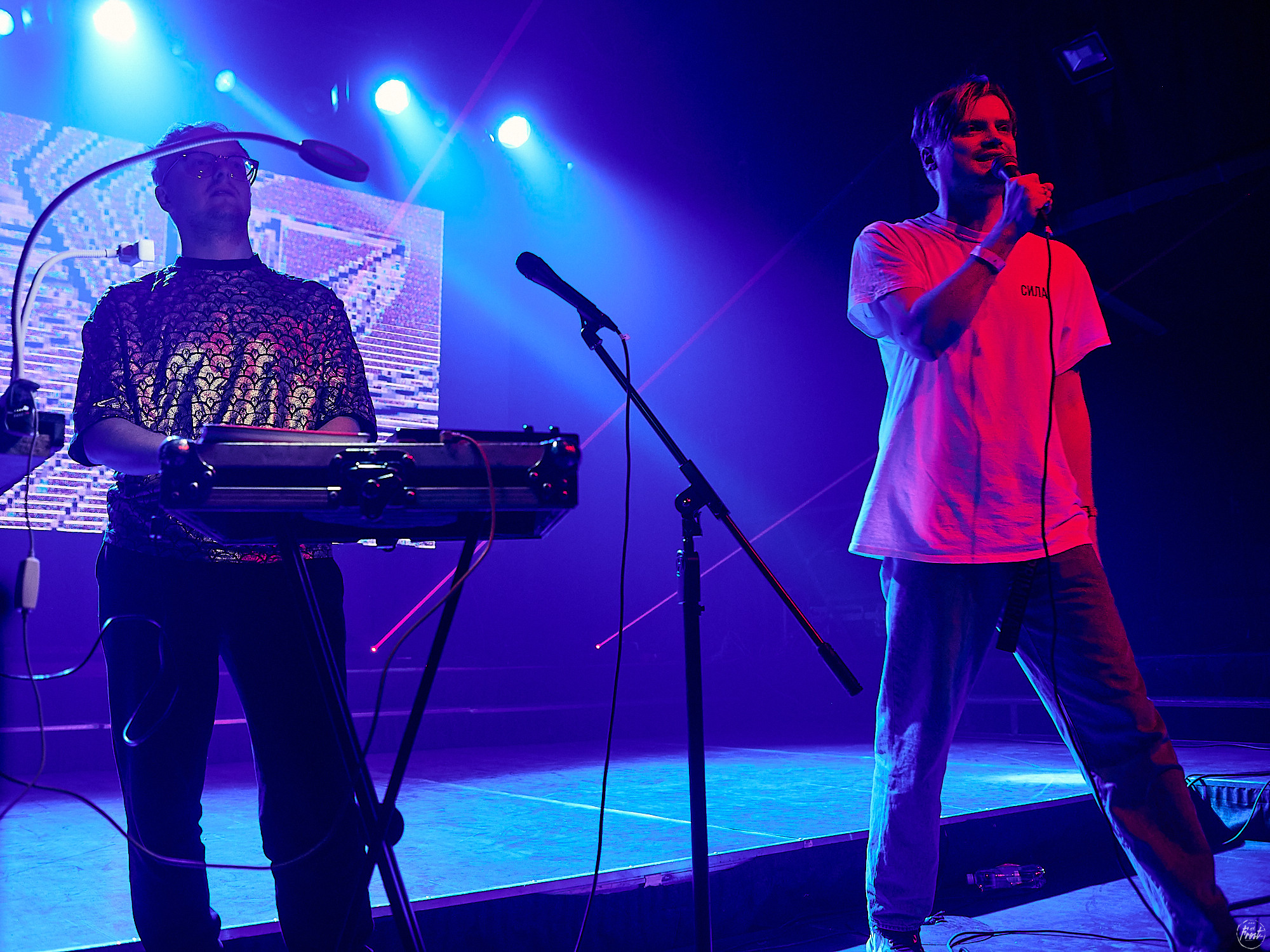 Электрофорез. Фотографии отовсюду и обо всем