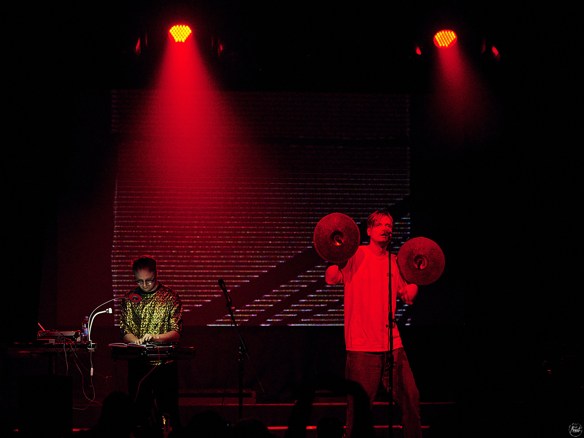 Электрофорез. Фотографии отовсюду и обо всем