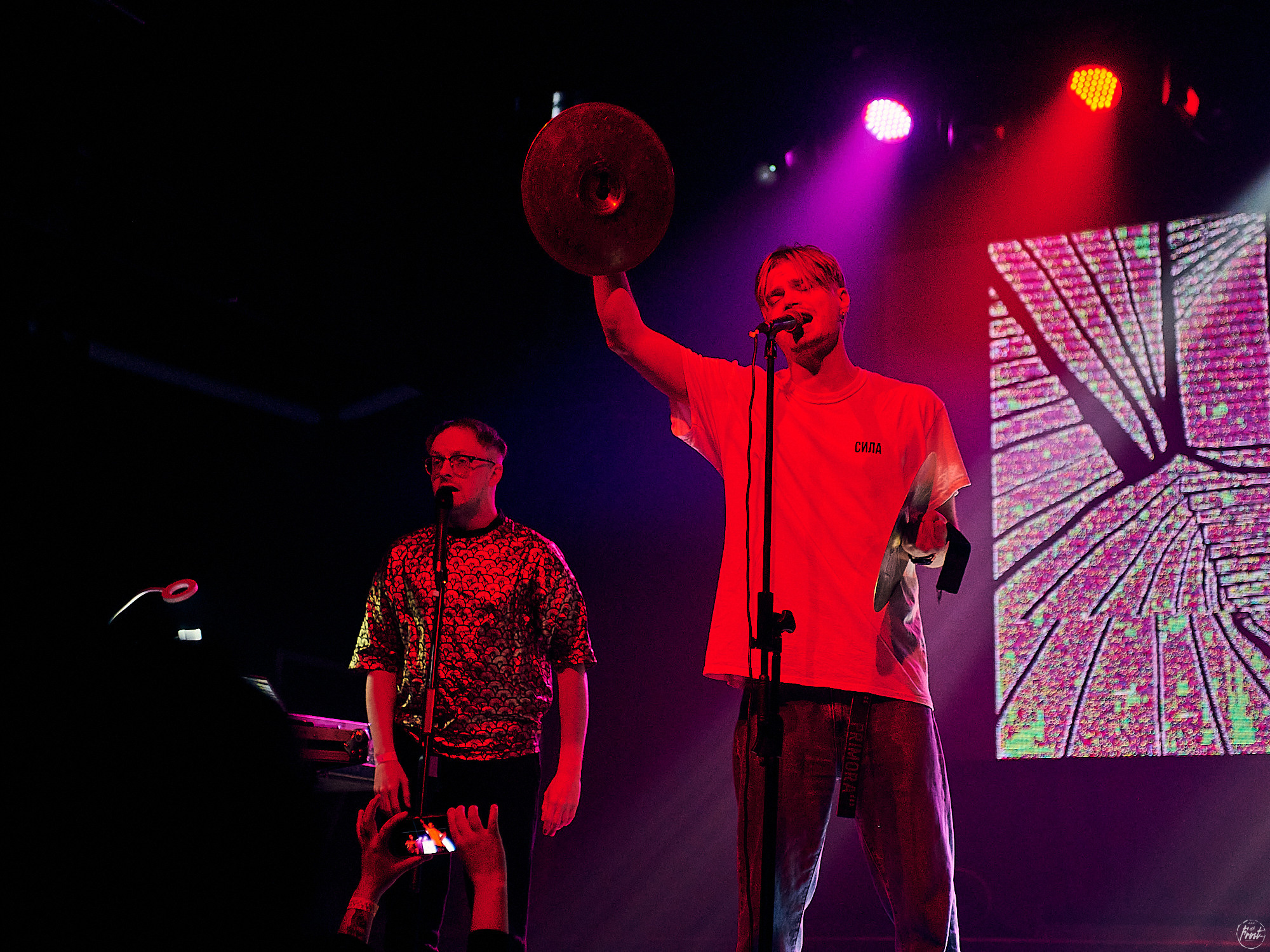 Электрофорез. Фотографии отовсюду и обо всем