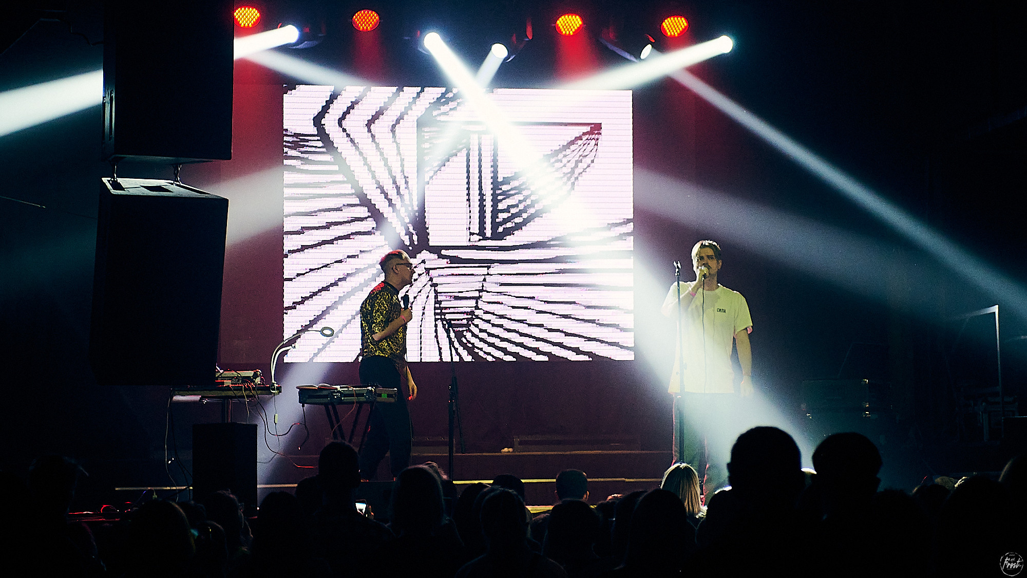 Электрофорез. Фотографии отовсюду и обо всем