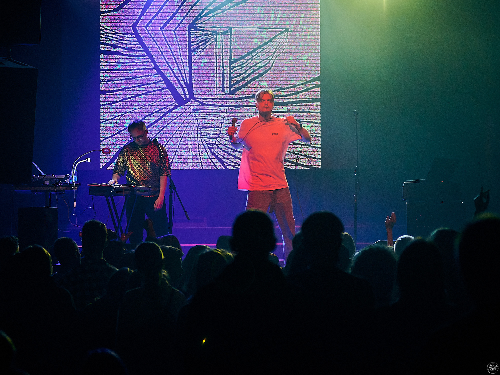 Электрофорез. Фотографии отовсюду и обо всем