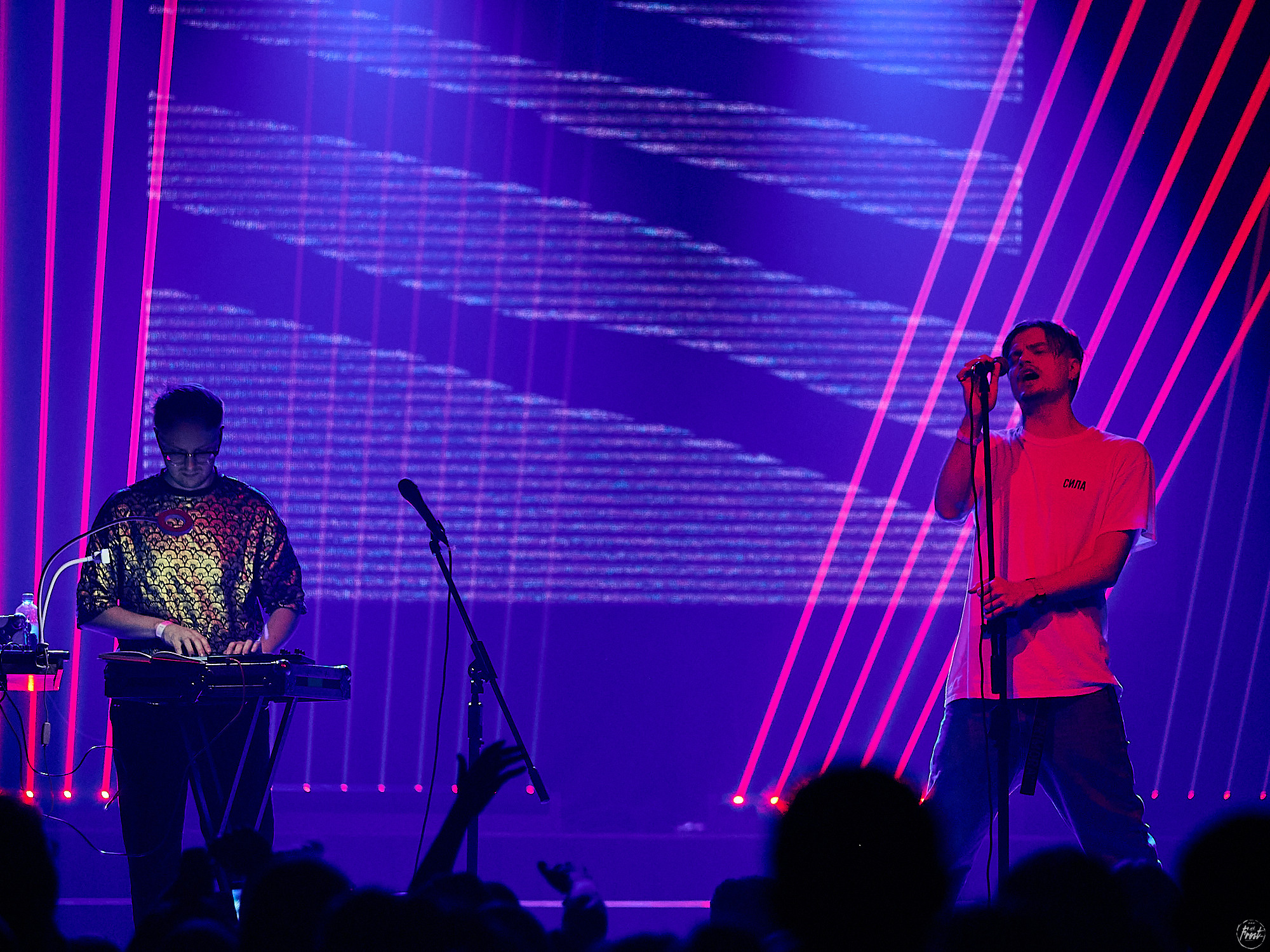 Электрофорез. Фотографии отовсюду и обо всем