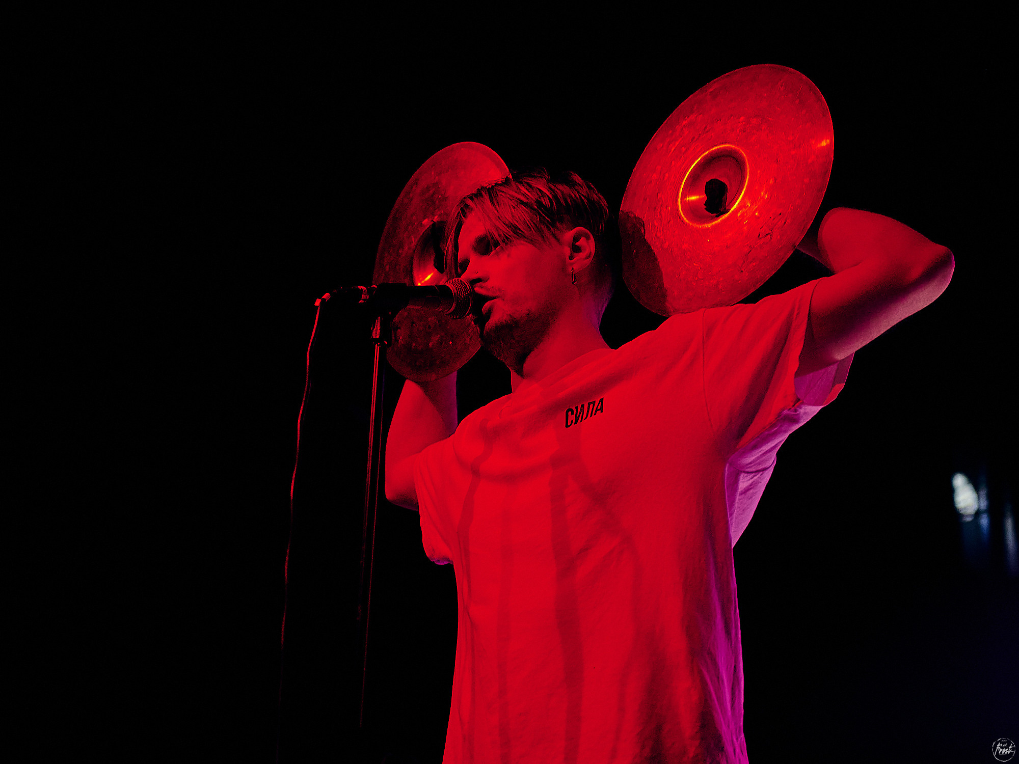 Электрофорез. Фотографии отовсюду и обо всем