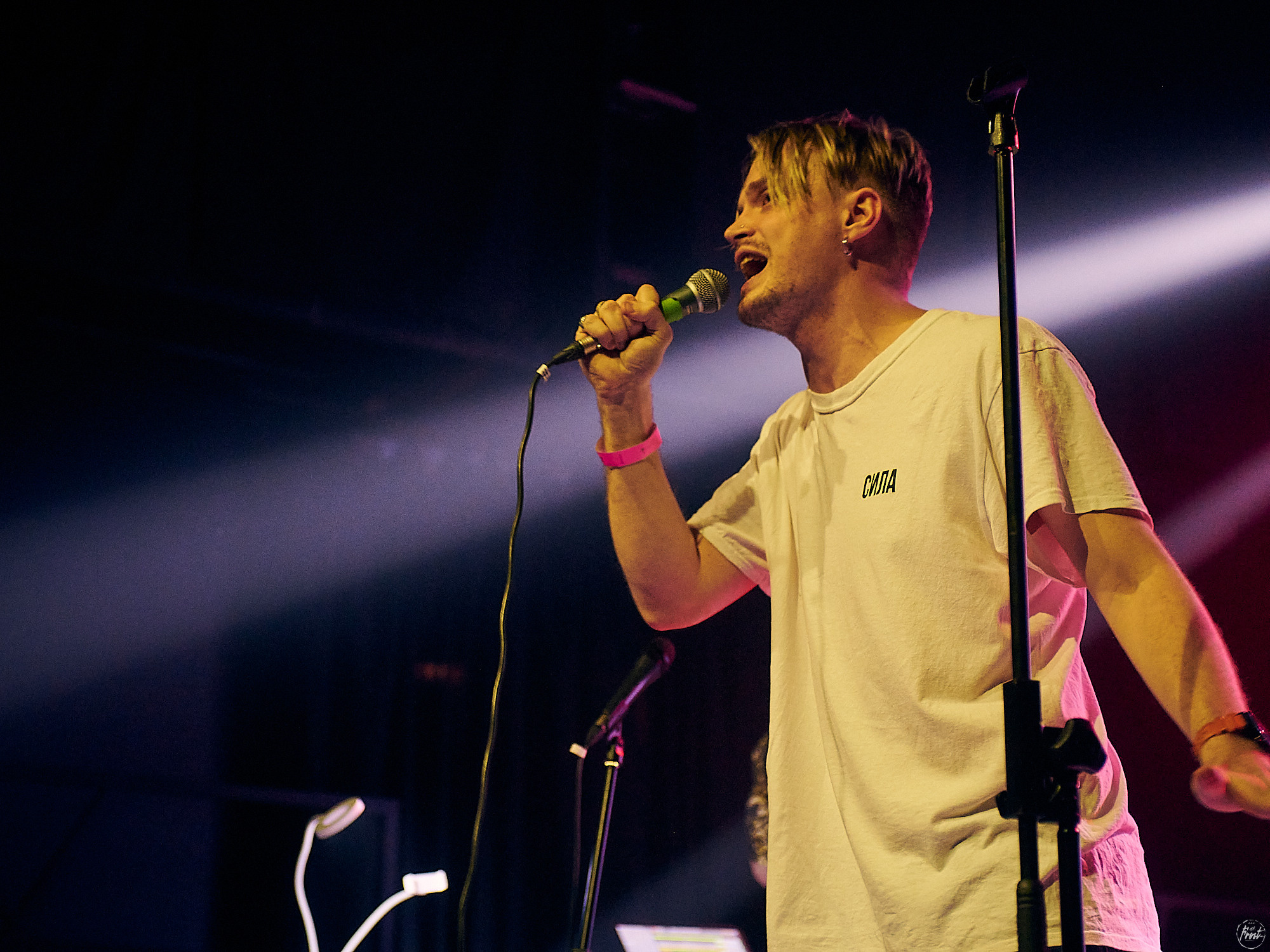 Электрофорез. Фотографии отовсюду и обо всем