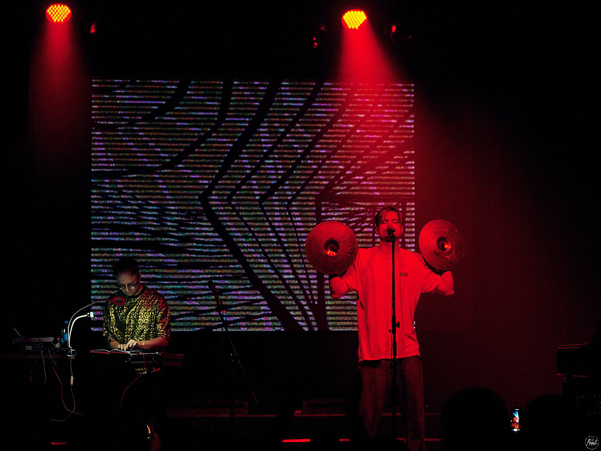 Электрофорез. Фотографии отовсюду и обо всем