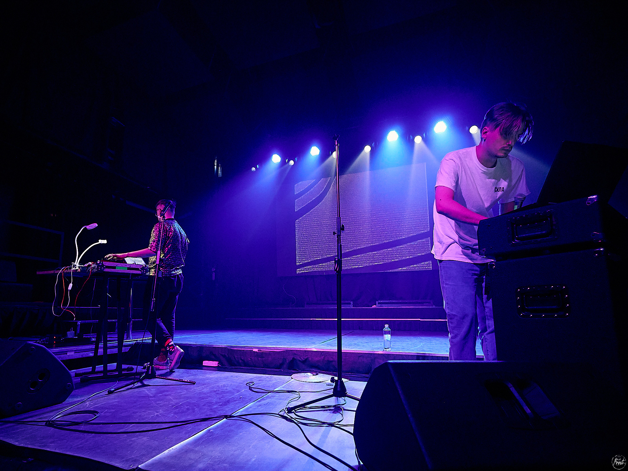 Электрофорез. Фотографии отовсюду и обо всем