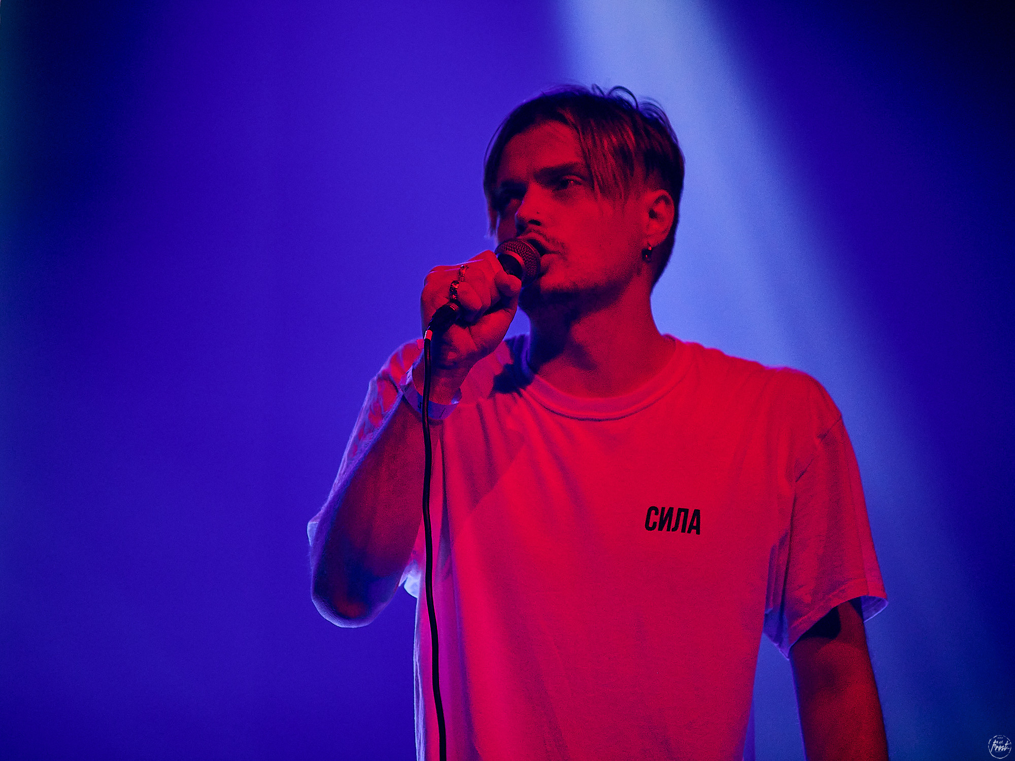 Электрофорез. Фотографии отовсюду и обо всем