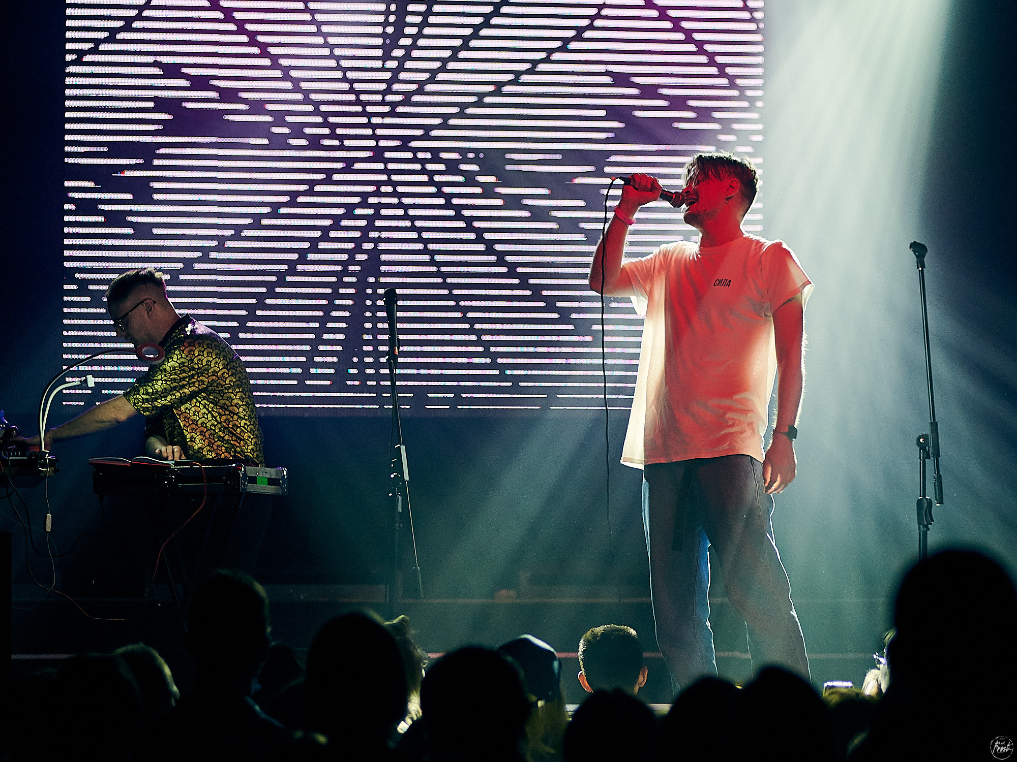 Электрофорез. Фотографии отовсюду и обо всем