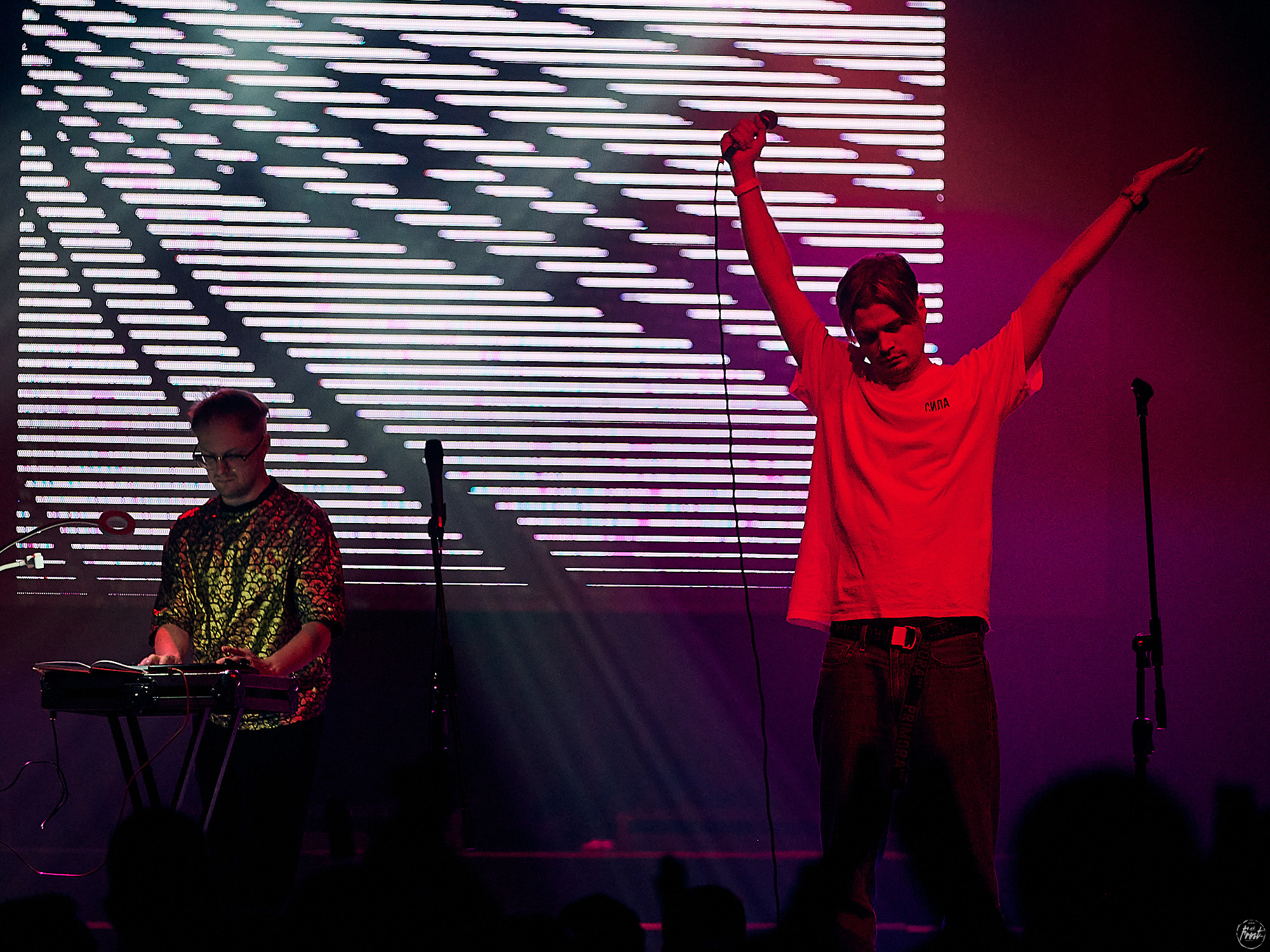 Электрофорез. Фотографии отовсюду и обо всем