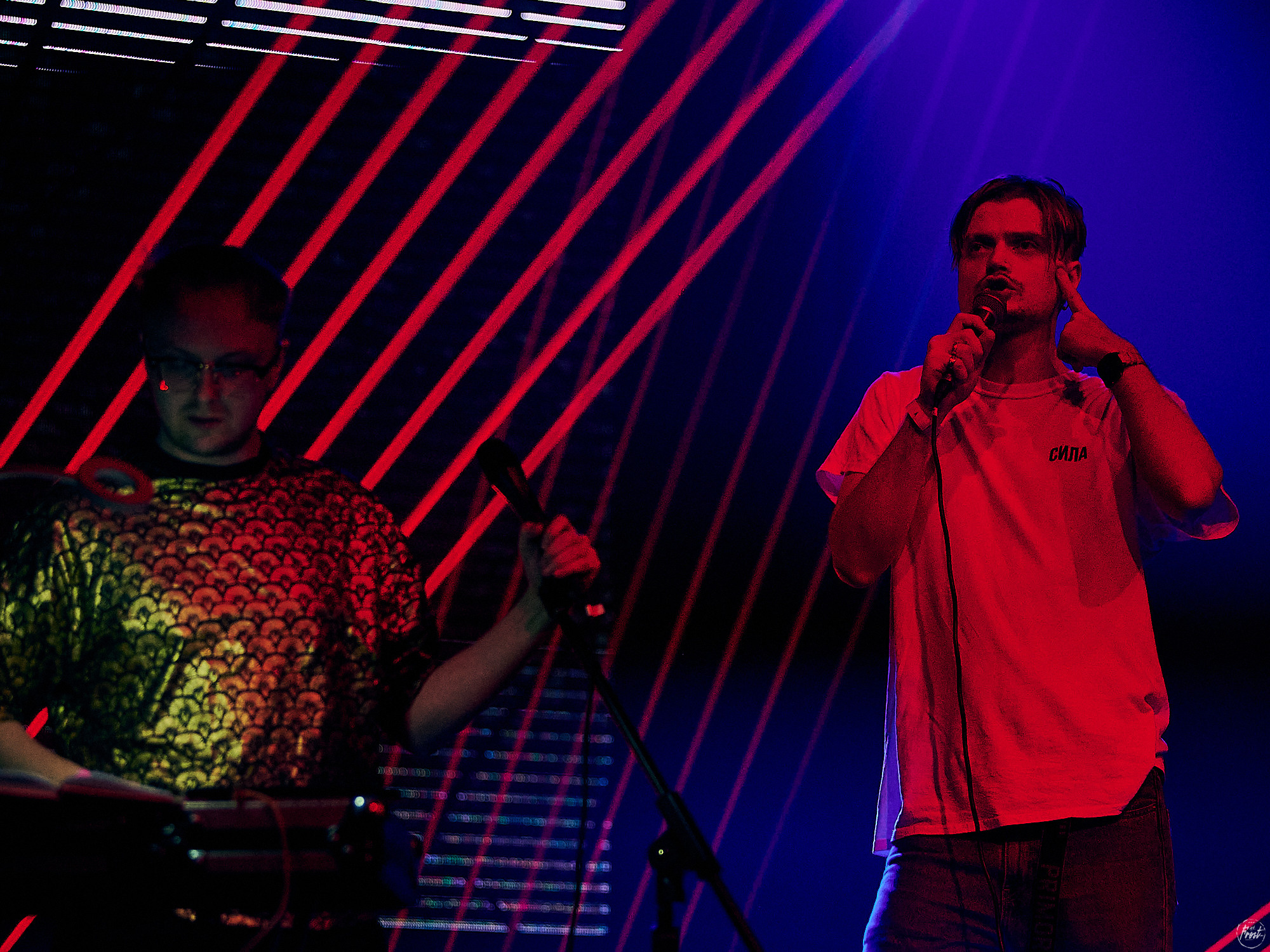 Электрофорез. Фотографии отовсюду и обо всем