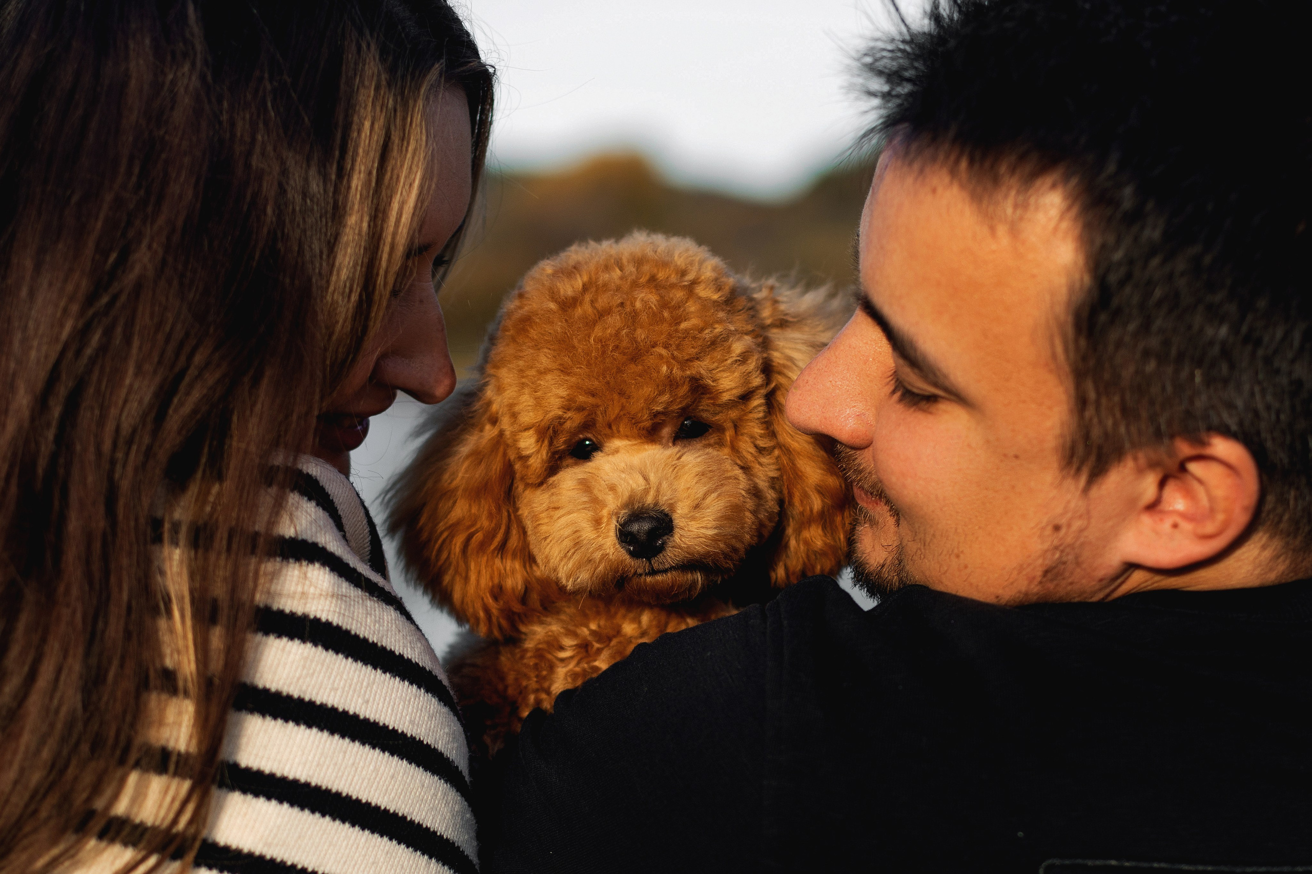 Артём и Анастасия