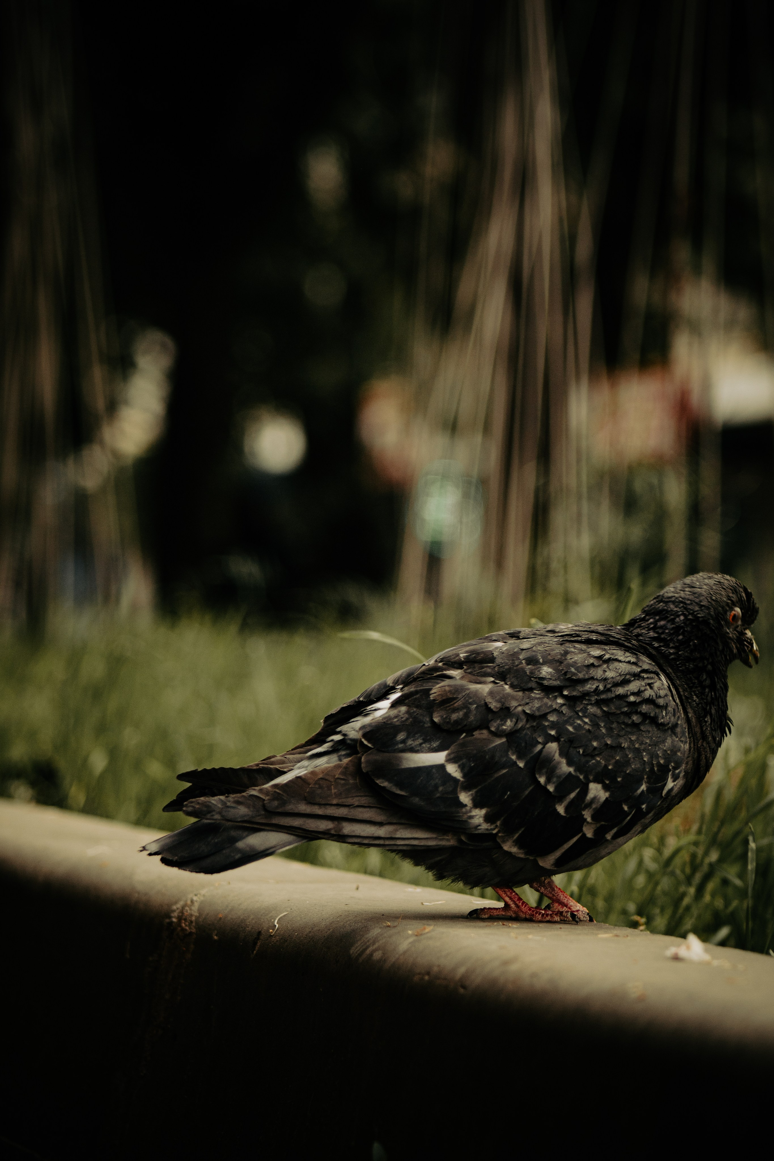 Даниил. Илья Чемис — Фотограф в Мариуполе