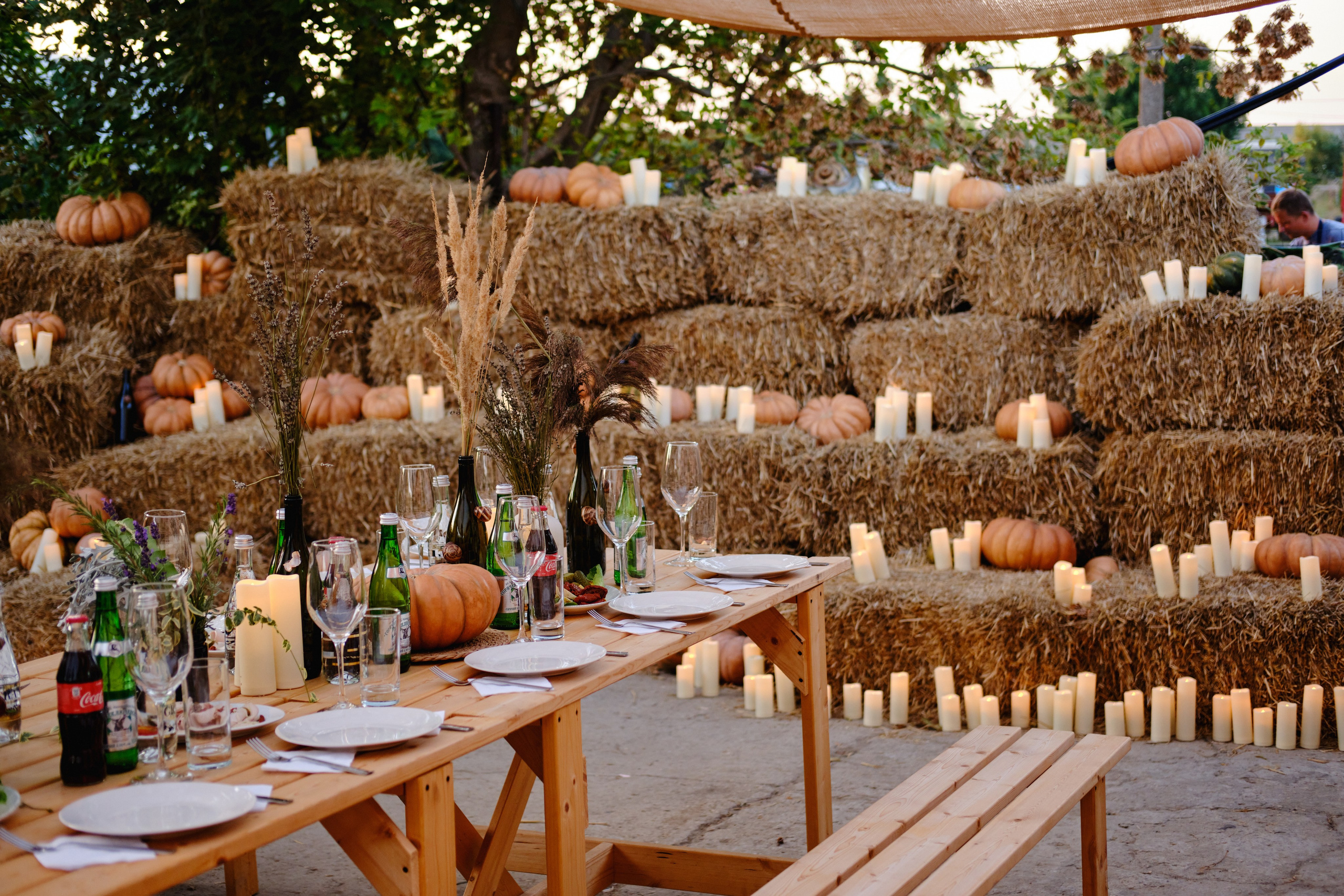 Vine and mons. Фотограф в Анапе и Краснодаре Тина