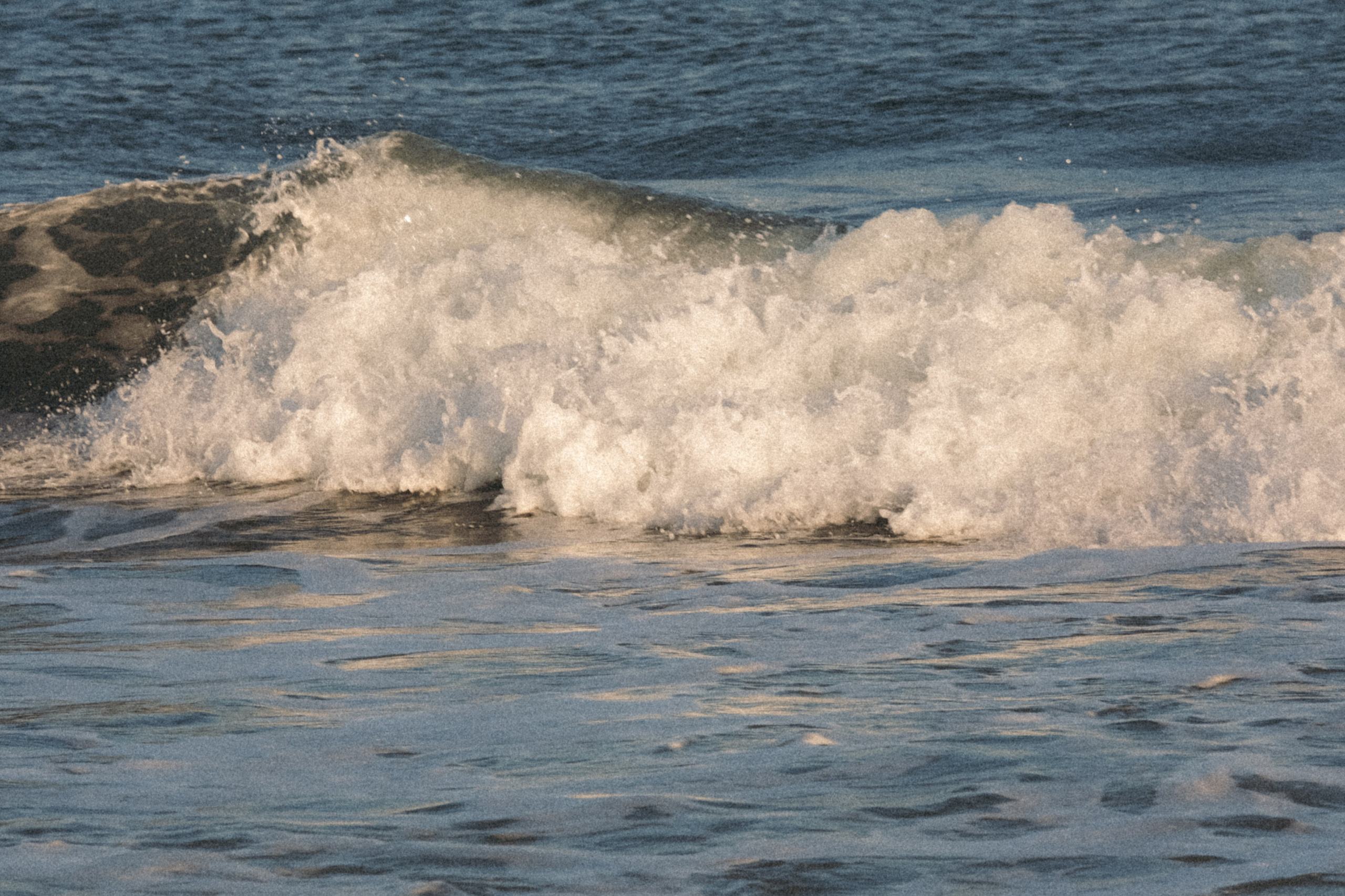 Тихий океан. Профессиональный фотограф, Санкт-Петербург — Виктория Богомолова