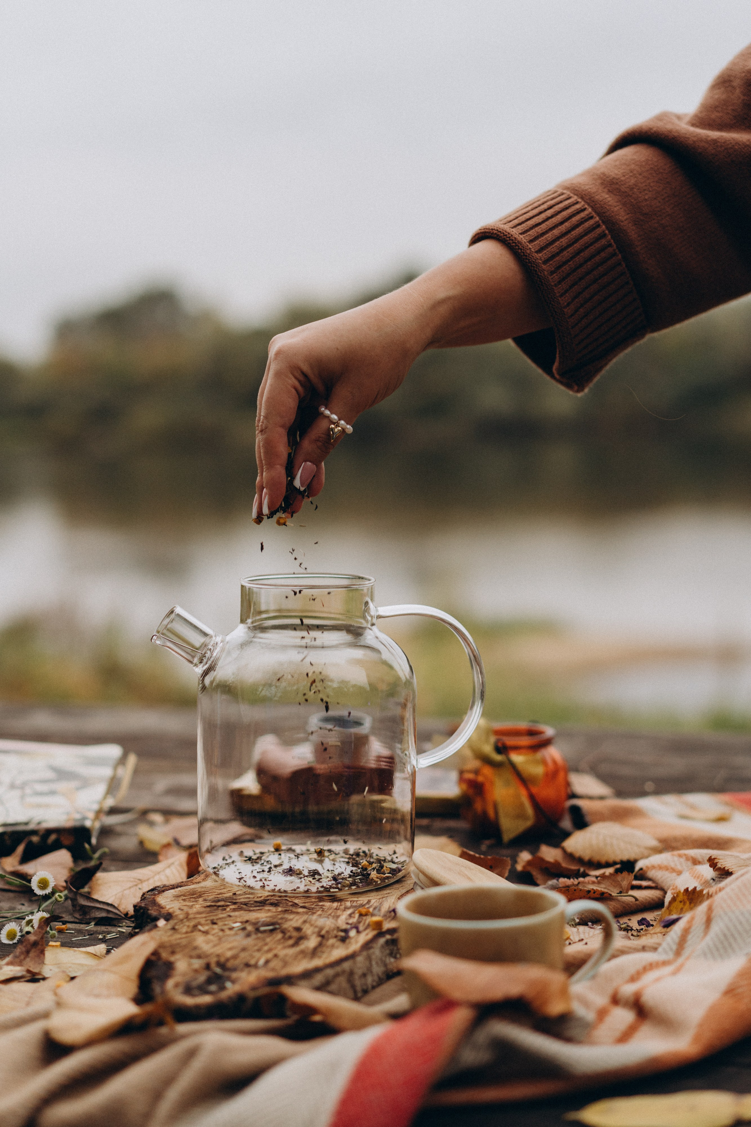 Октябрьская история. Лиза Фирстова — самый добрый фотограф